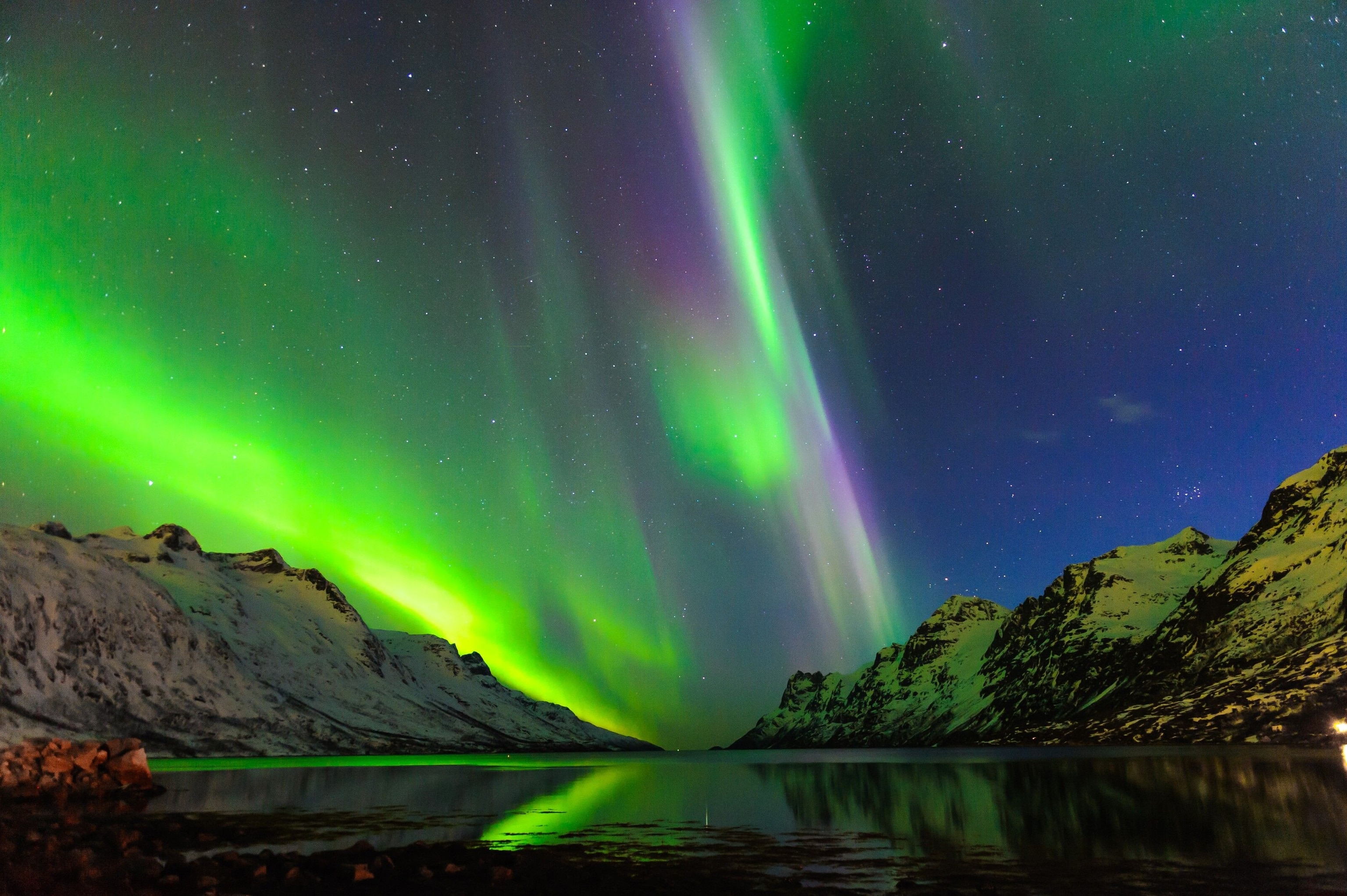 POV of a dog sledding experience in Alta, one of the best locations where you can learn about Sami culture.