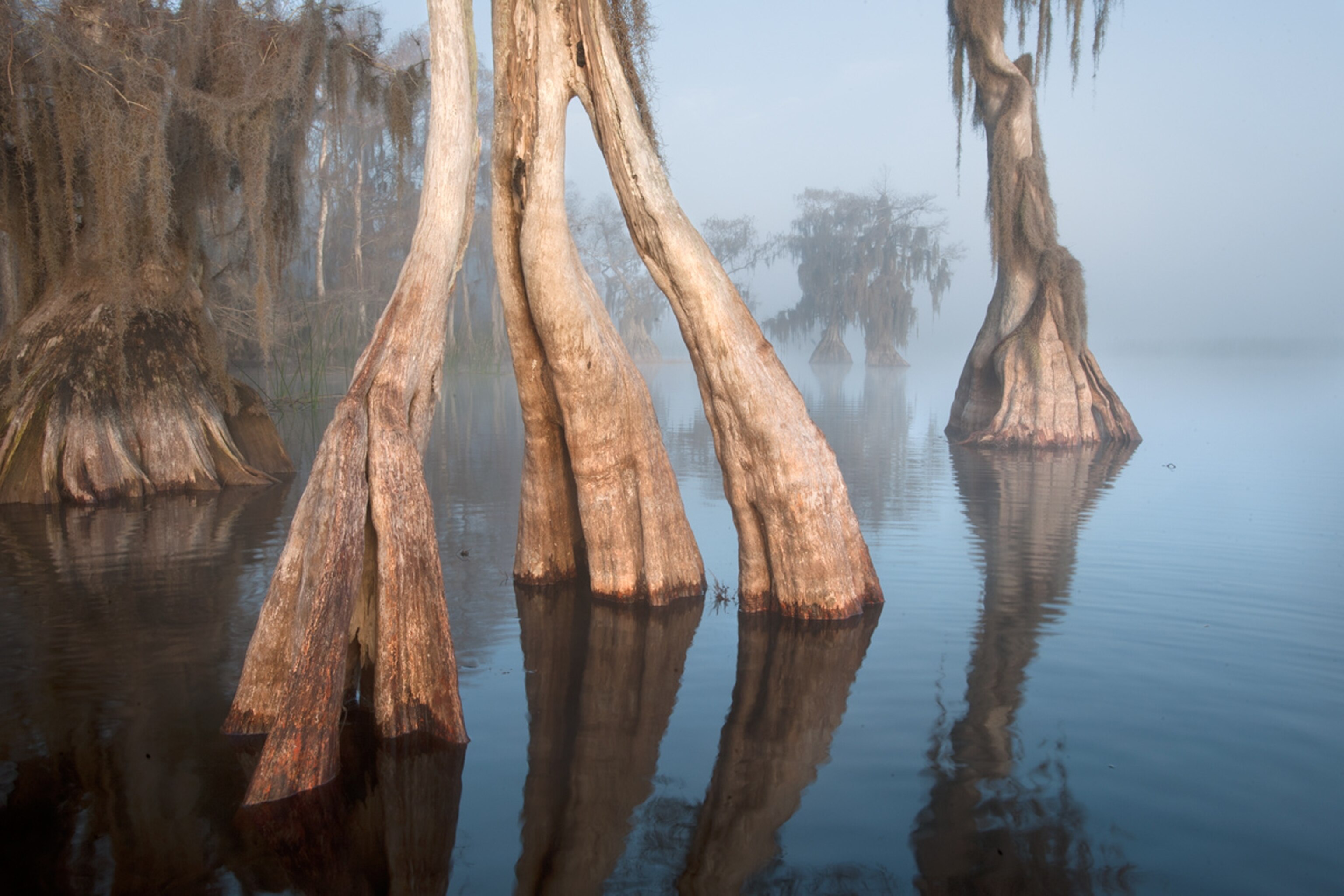 Lake Russell picture - part of the Florida Wildlife Corridor Expedition