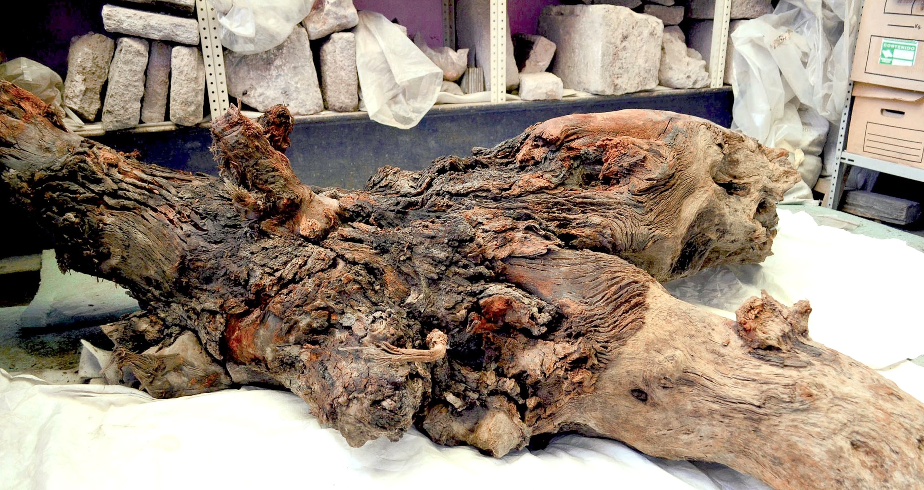 Aztec picture - sacred tree shrine