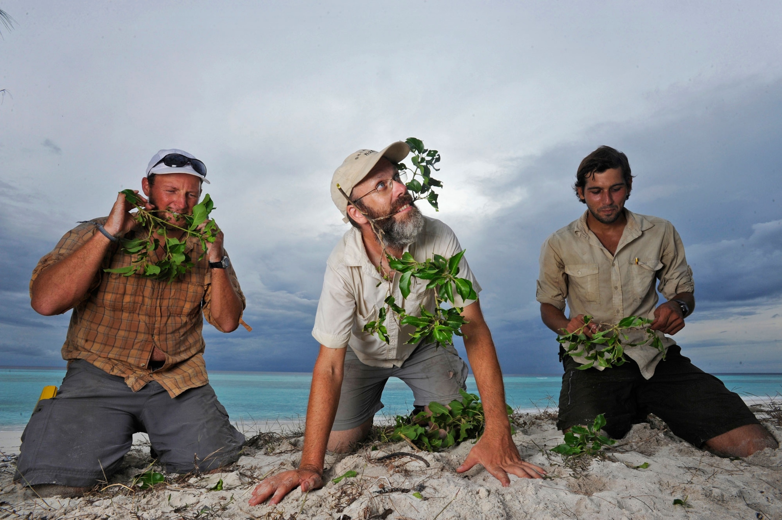 Scientists on Aldabra