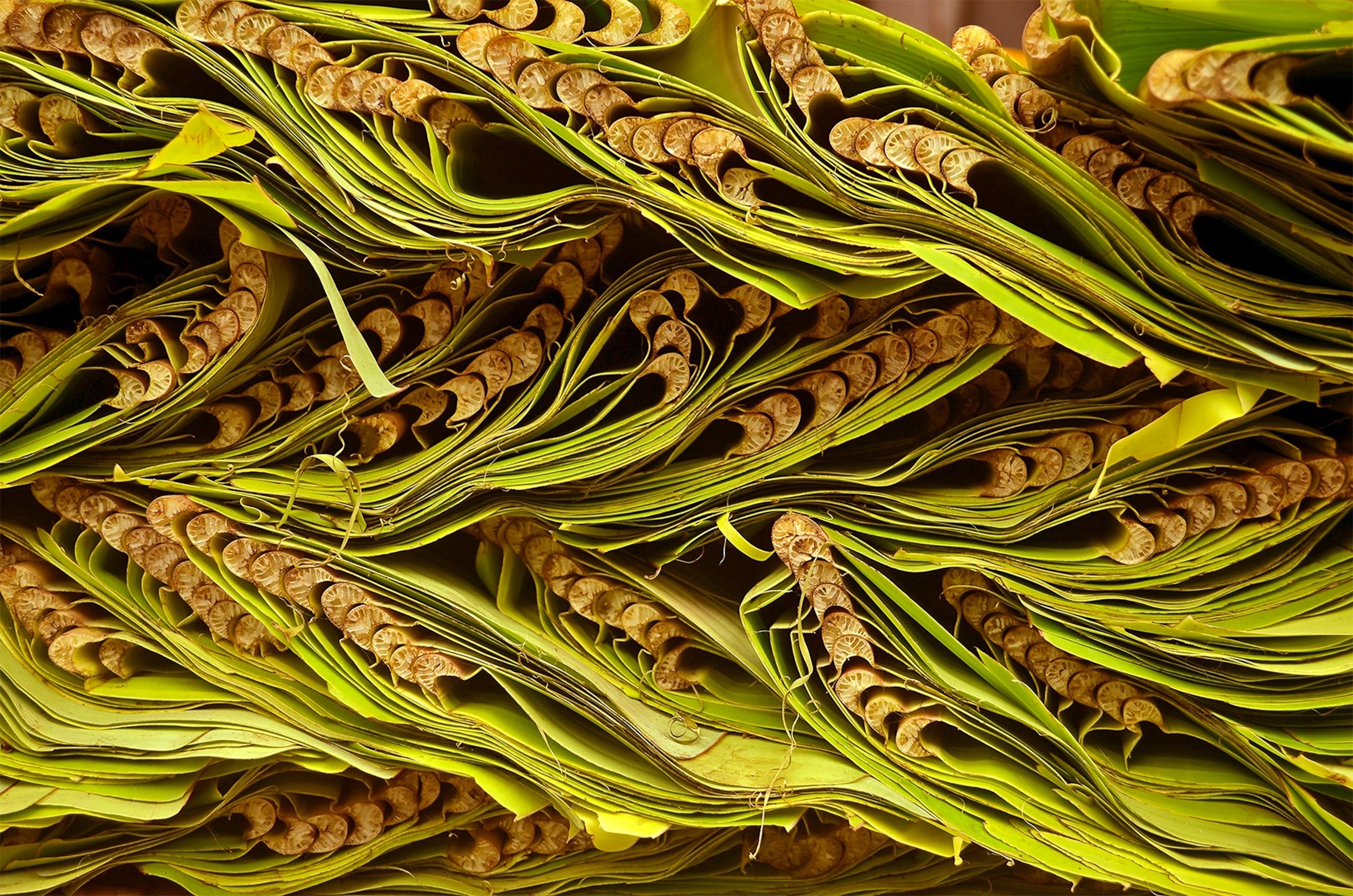 banana leaves in an Indian market.