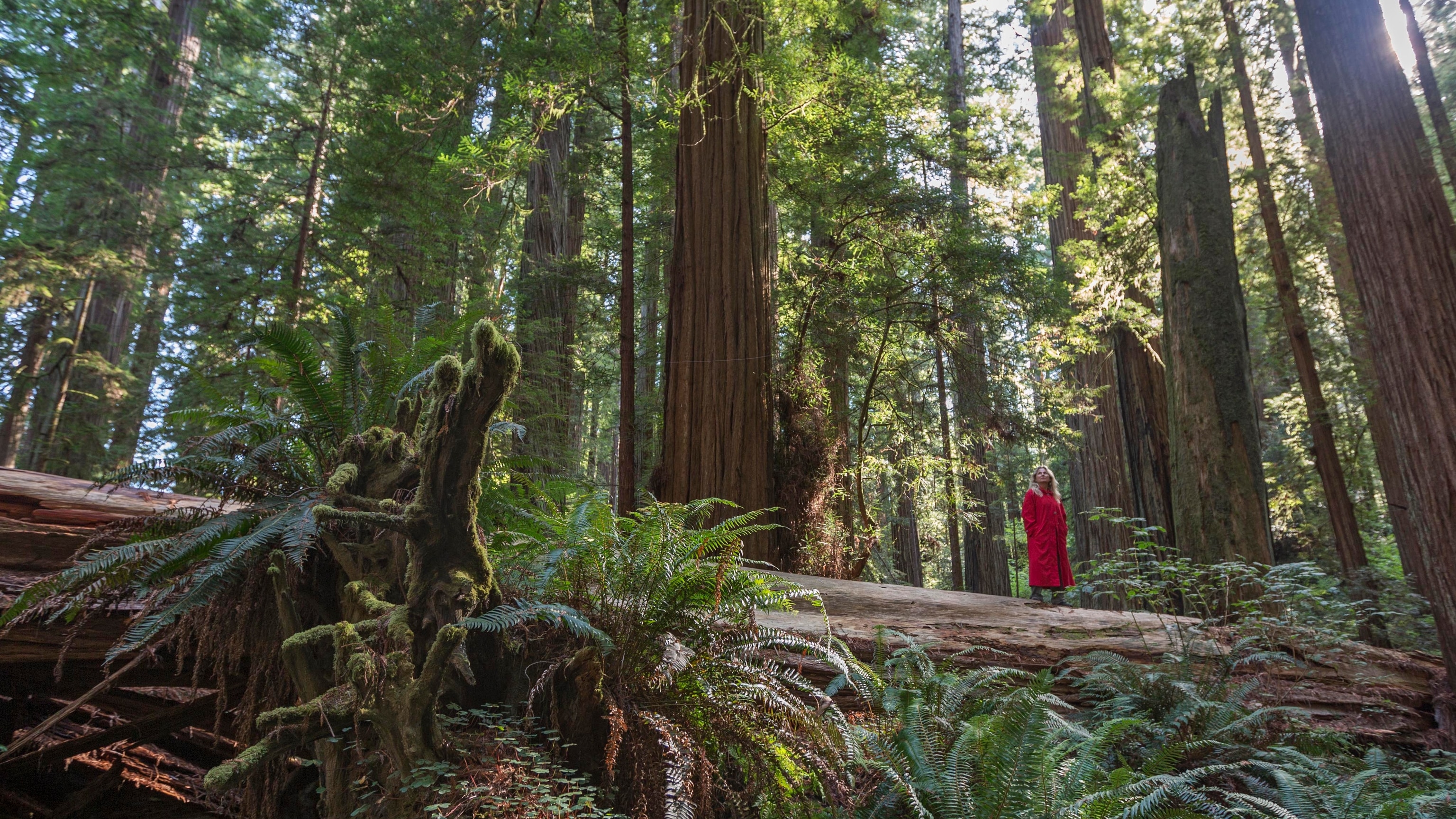 These are the top 50 adventures in all 50 states