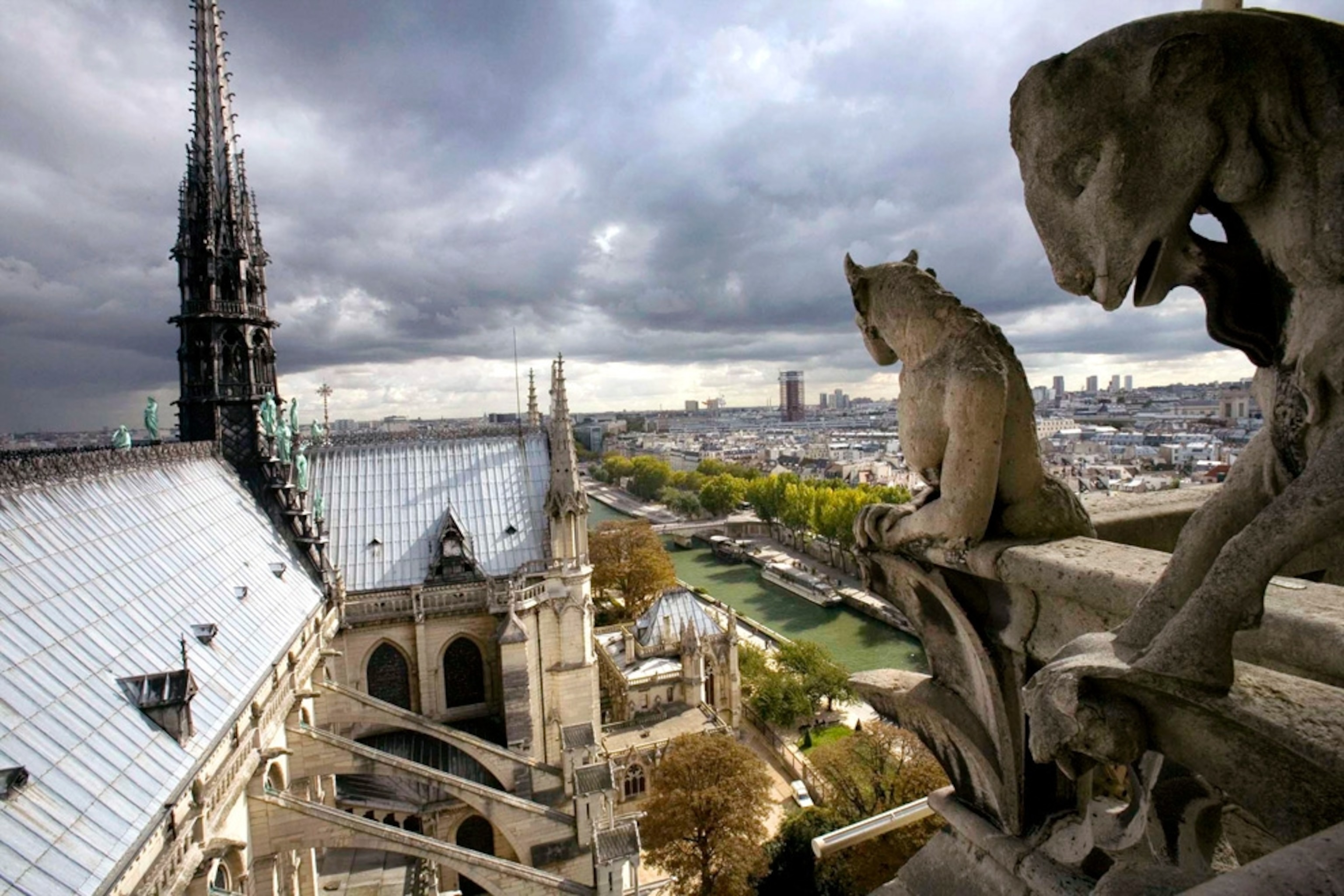 gargoyles and the view from the top of Notre Dame, Paris