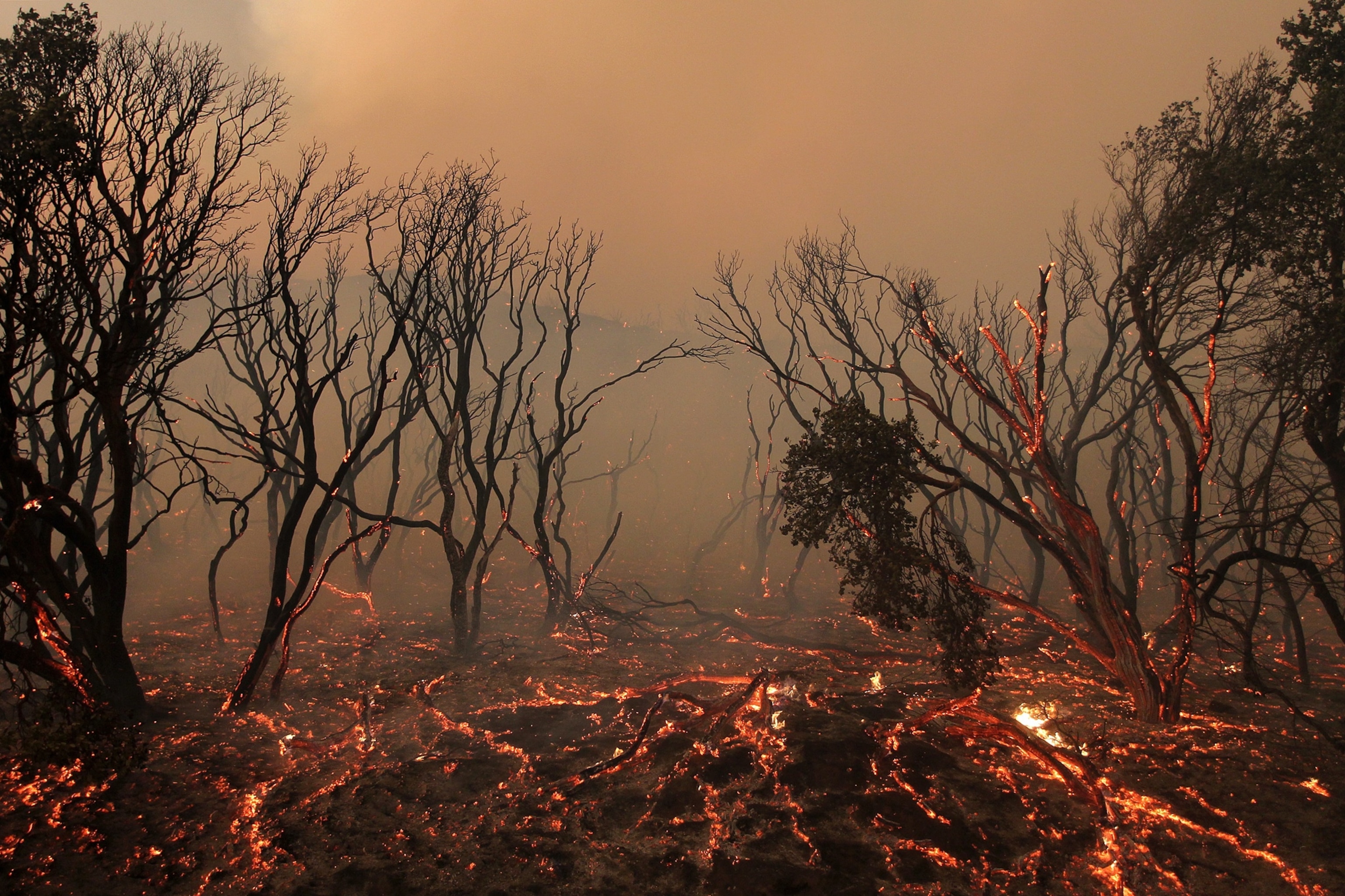 burning brush after a wildfire