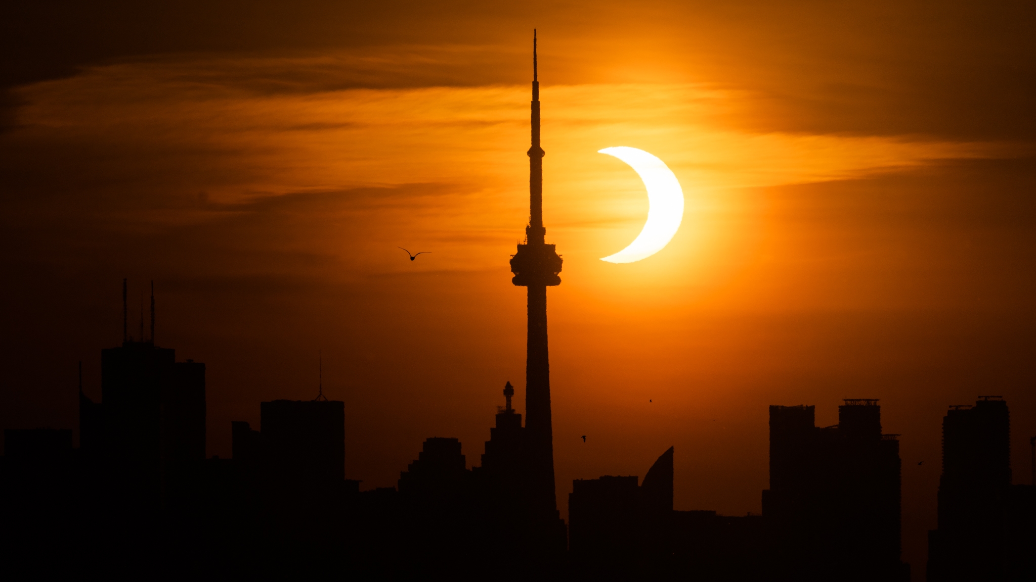 11 Spectacular Night Sky Events To See In 2023 11 Spectacular Night Sky Events To See In 2023