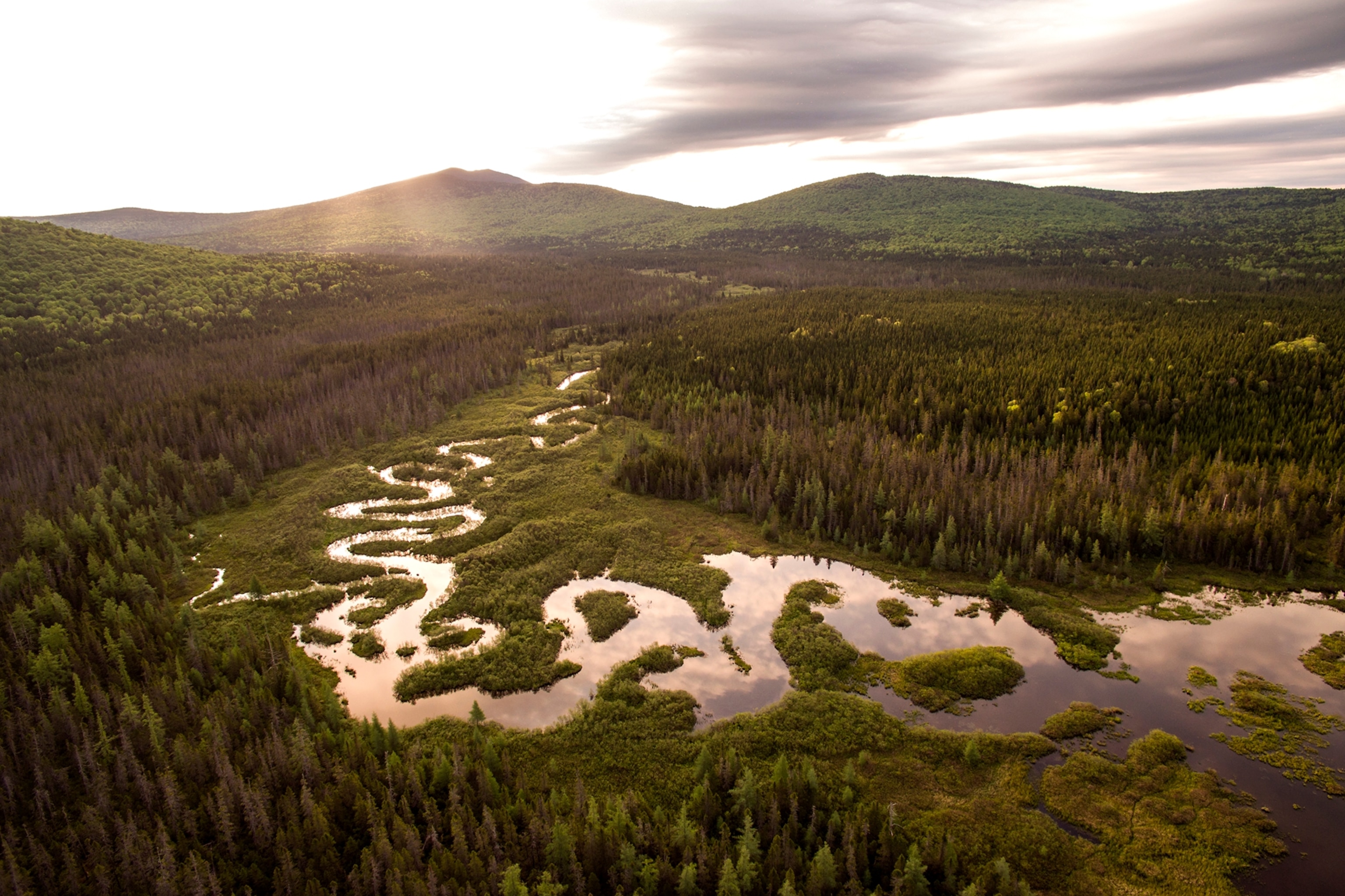 Up North in New Hampshire's Moose Alley