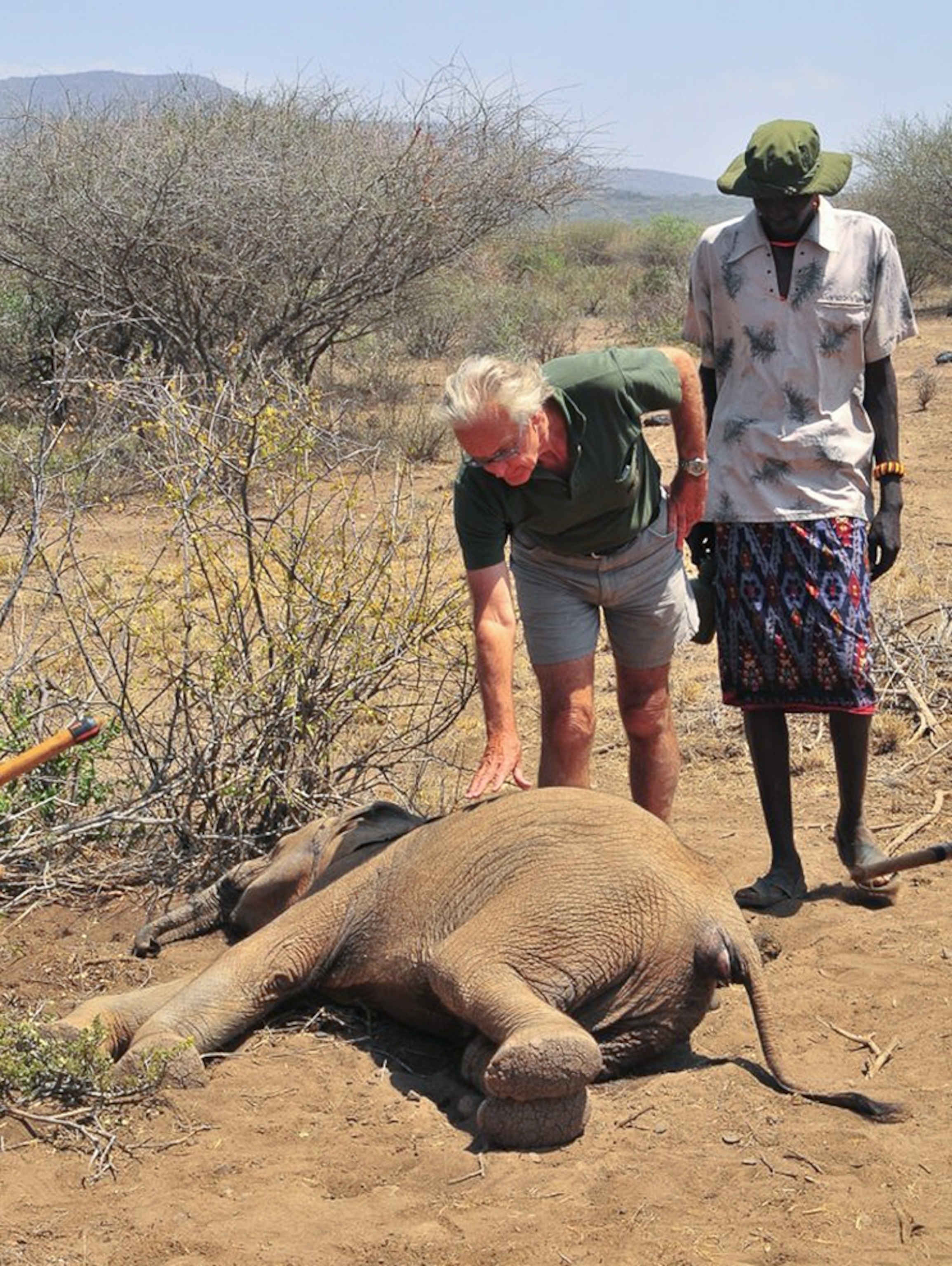 a dead elephant calf in Kenya's Samburu National Reserve