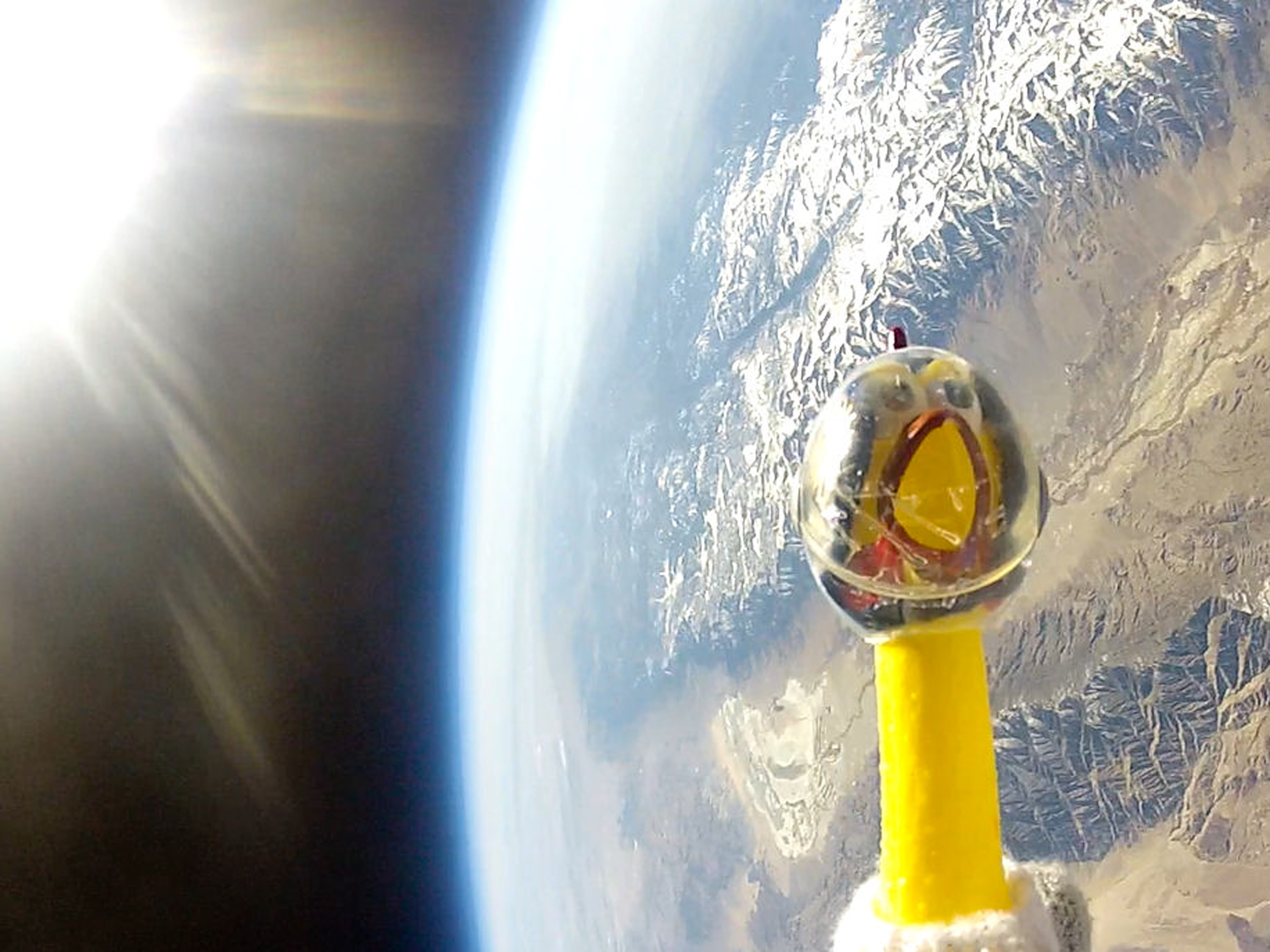 Camilla picture: a rubber chicken in space