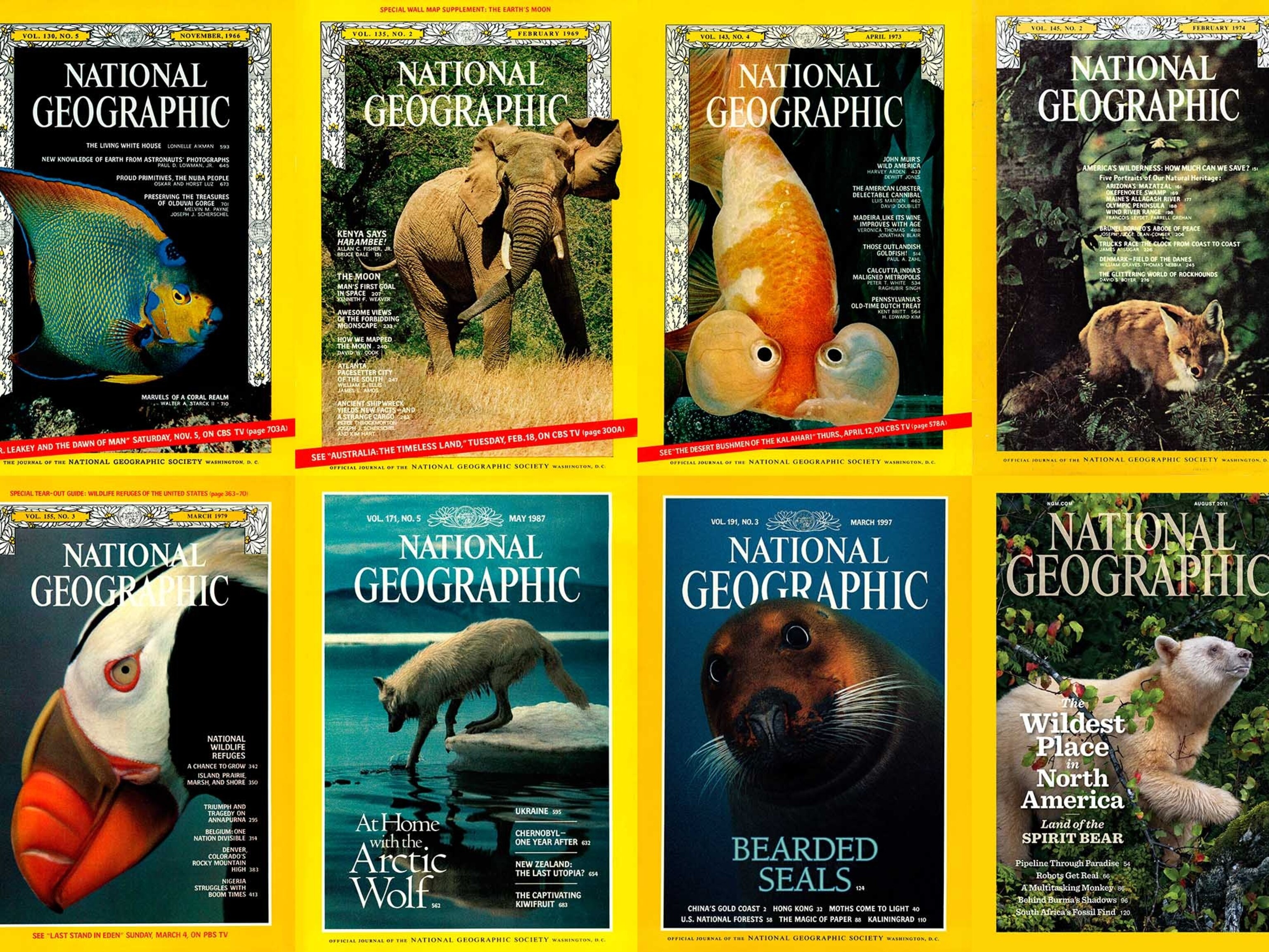 Fur, Feathers, and Scales National Geographic’s Majestic Animals