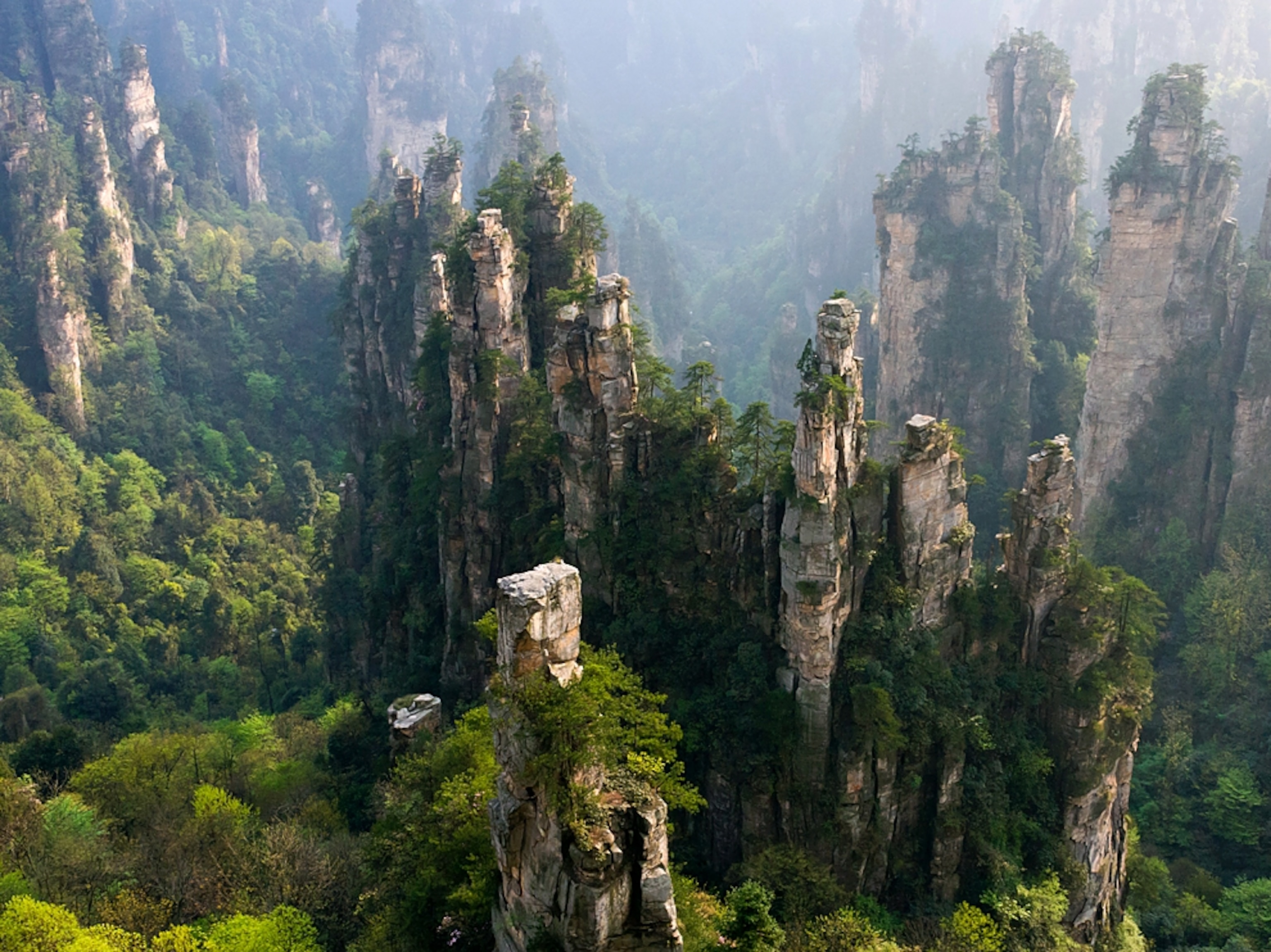 sandstone pillars in Zhangjiajie National Forest Park, China