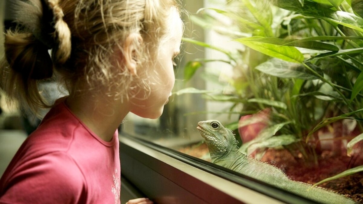 The Case for Skipping Class