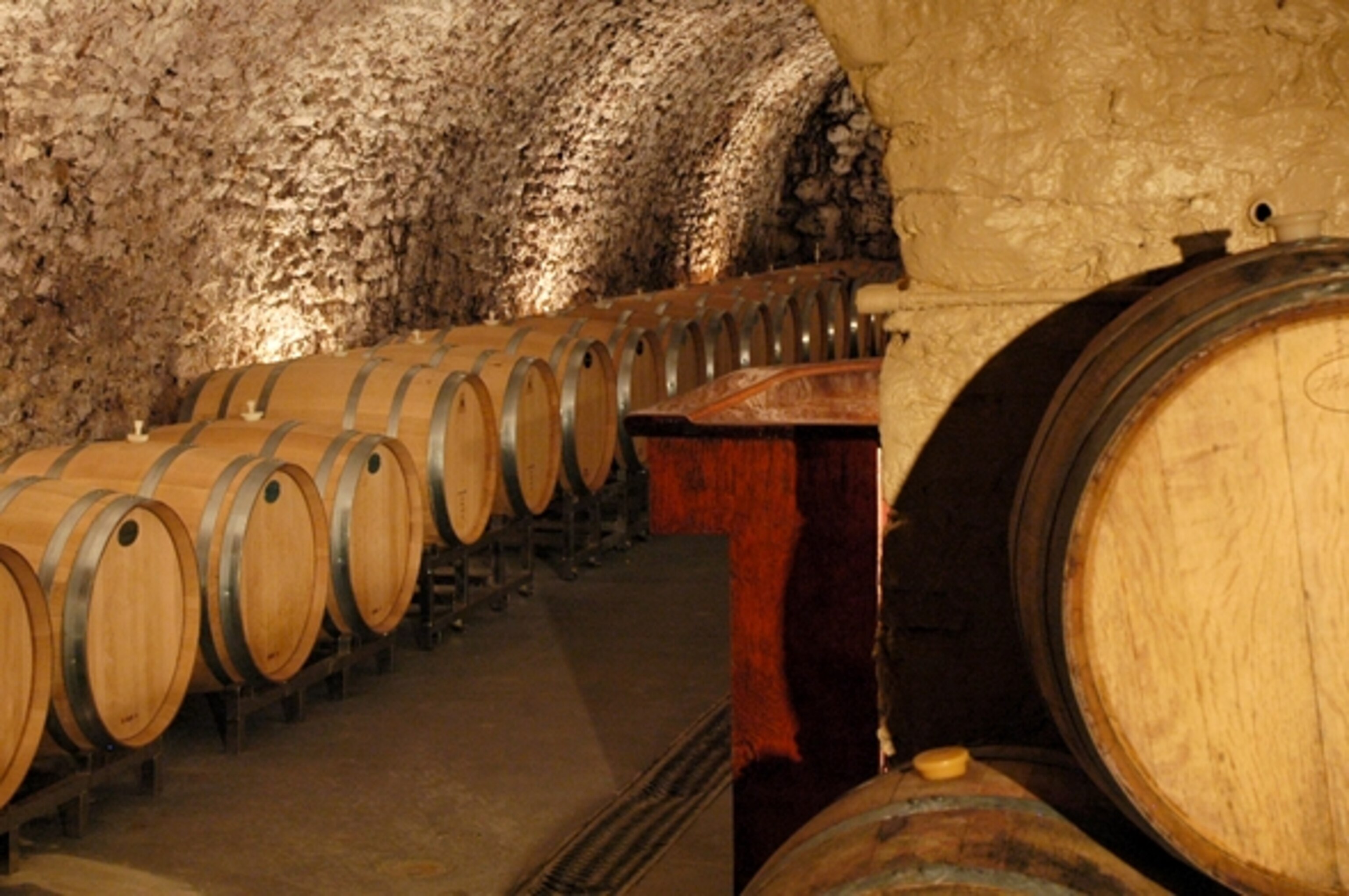 The tunnels in the Von Stiehl rathskeller. (Photograph by Paul Gasser, Emotion Photography)