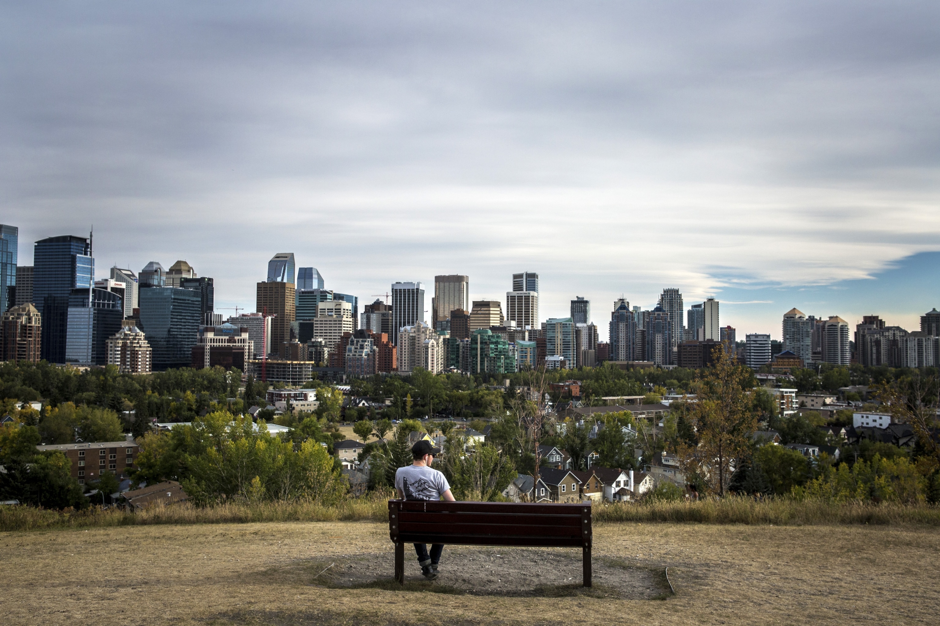 couple man on park bench looking out toward the city