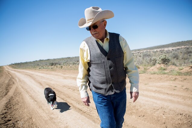 POLL: Should Congress disband Wildlife "Killing" Services? Rancher John Peavey was grazing his sheep on a public land allotment in Kimama, Idaho, when this photo was taken. He says the Wildlife Services predator control program is vital for his business’s success. Photograph by Rebecca Hale, National Geographic