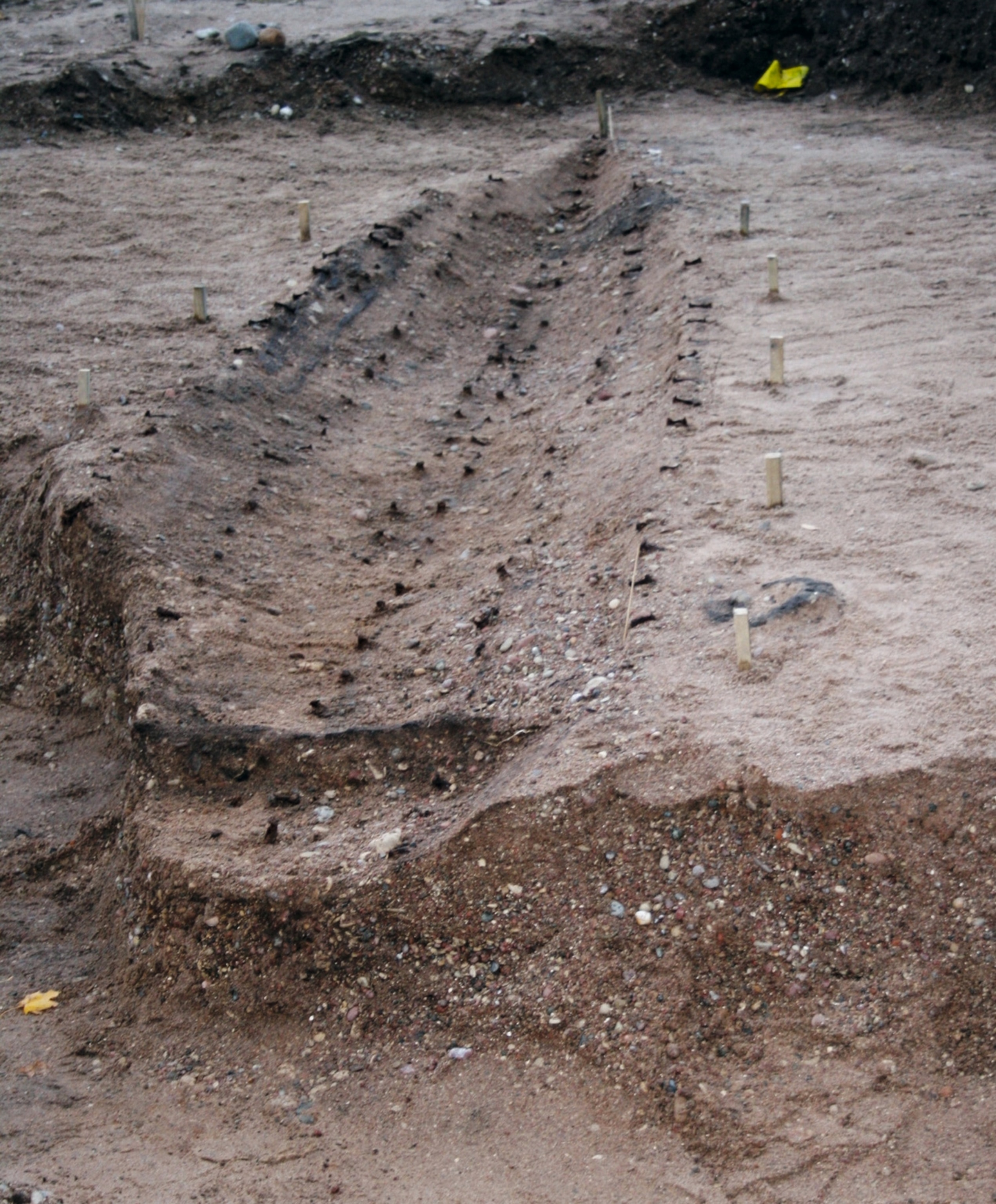 The Salme I is pictured.