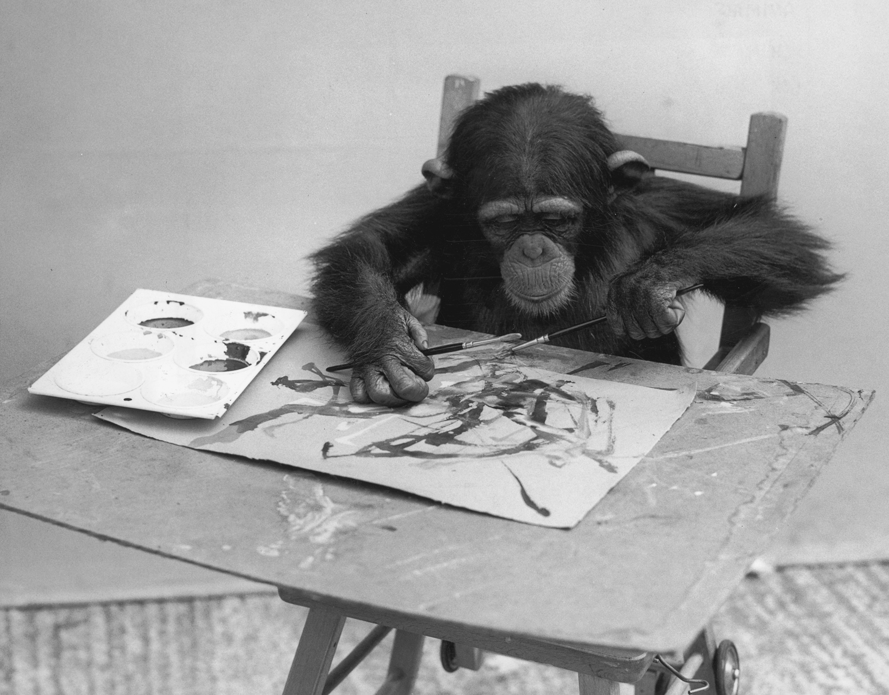 a chimpanzee painting a picture