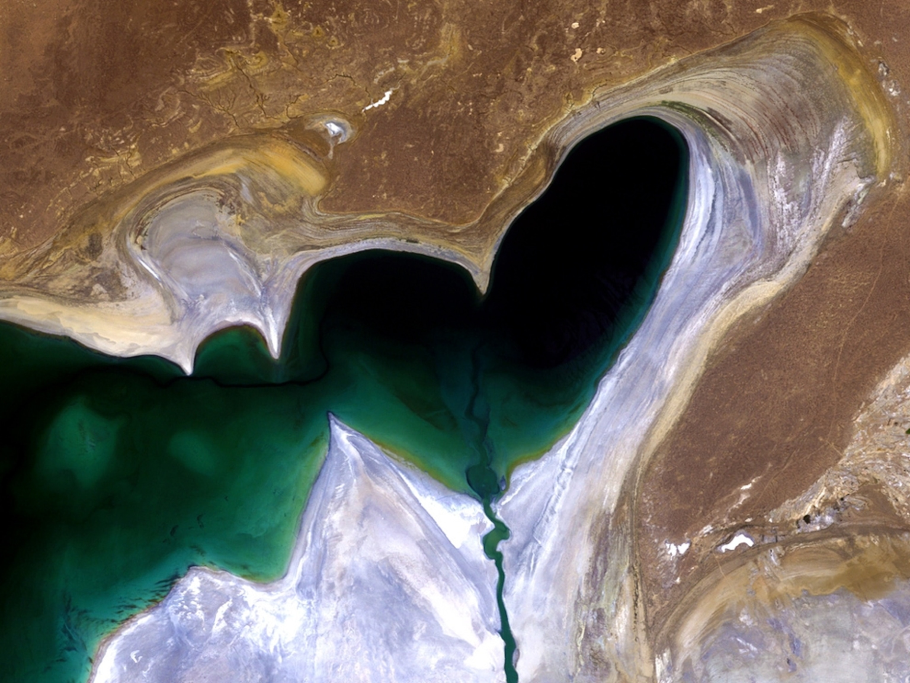 Satellite picture of the north Aral Sea.