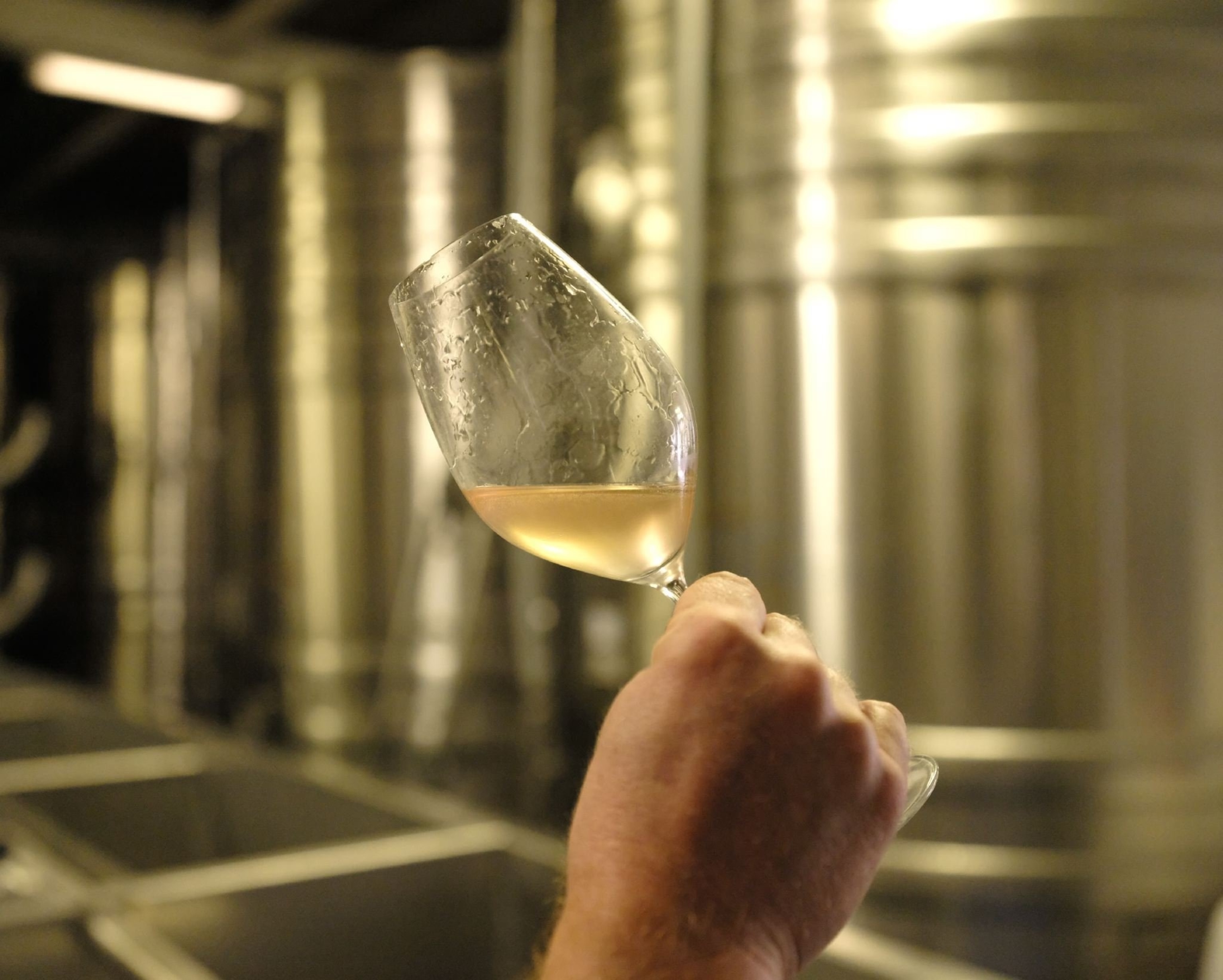 a glass of white wine at Wiston Estate wineries, in England