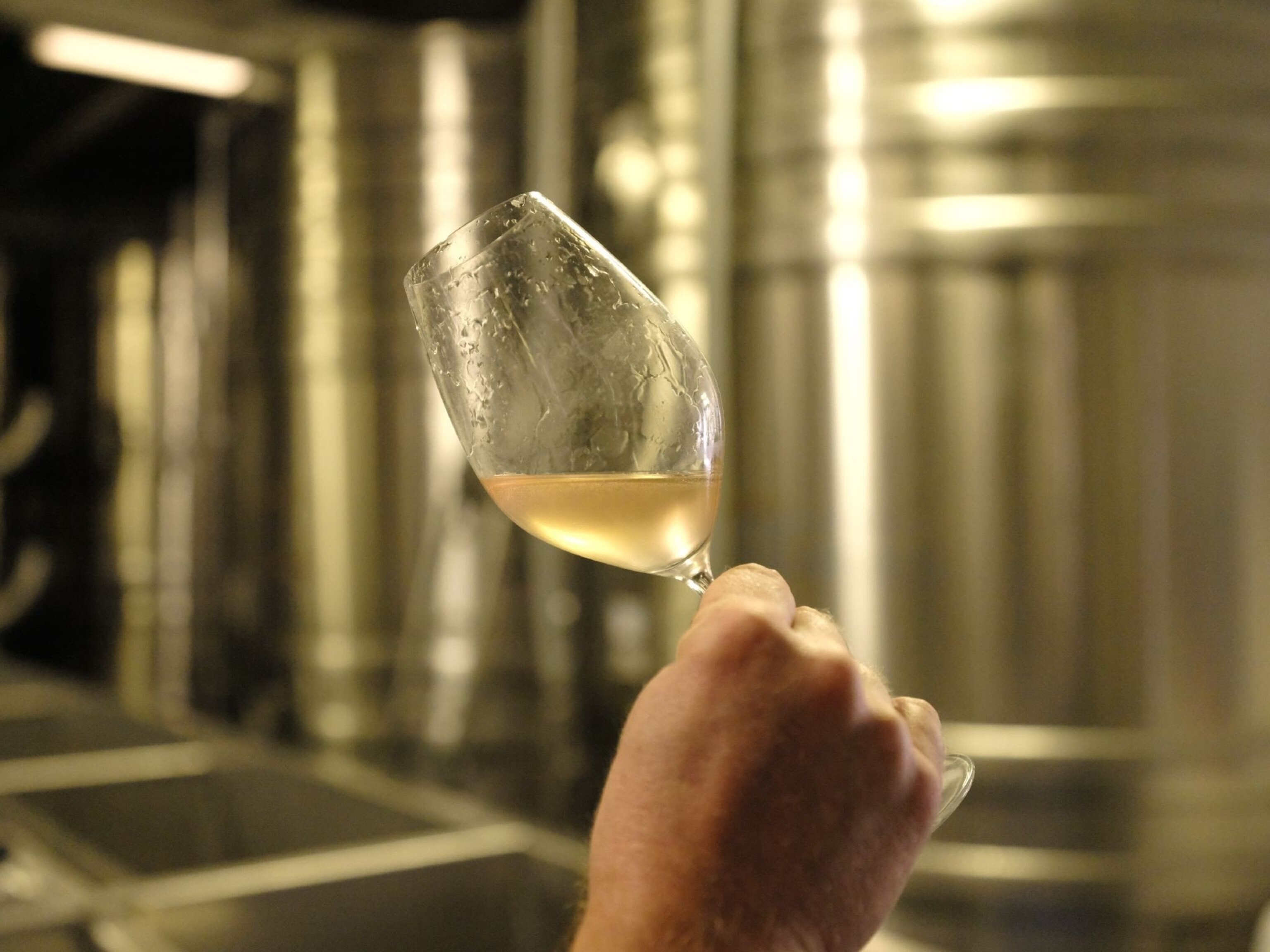 Discover the sparkling wine from England that tastes like champagne