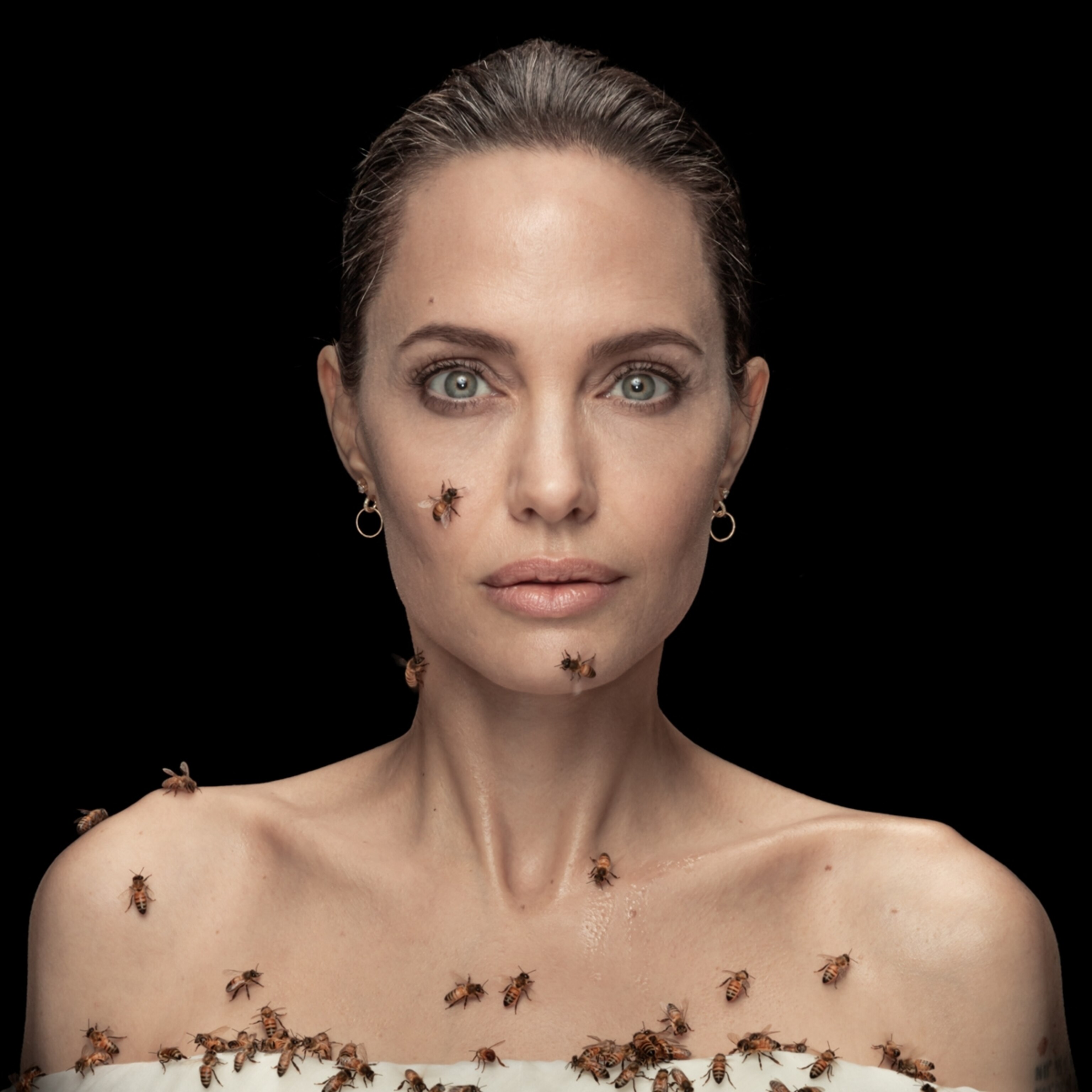 Angelina Jolie embraces bees—and female beekeepers as environmental  guardians