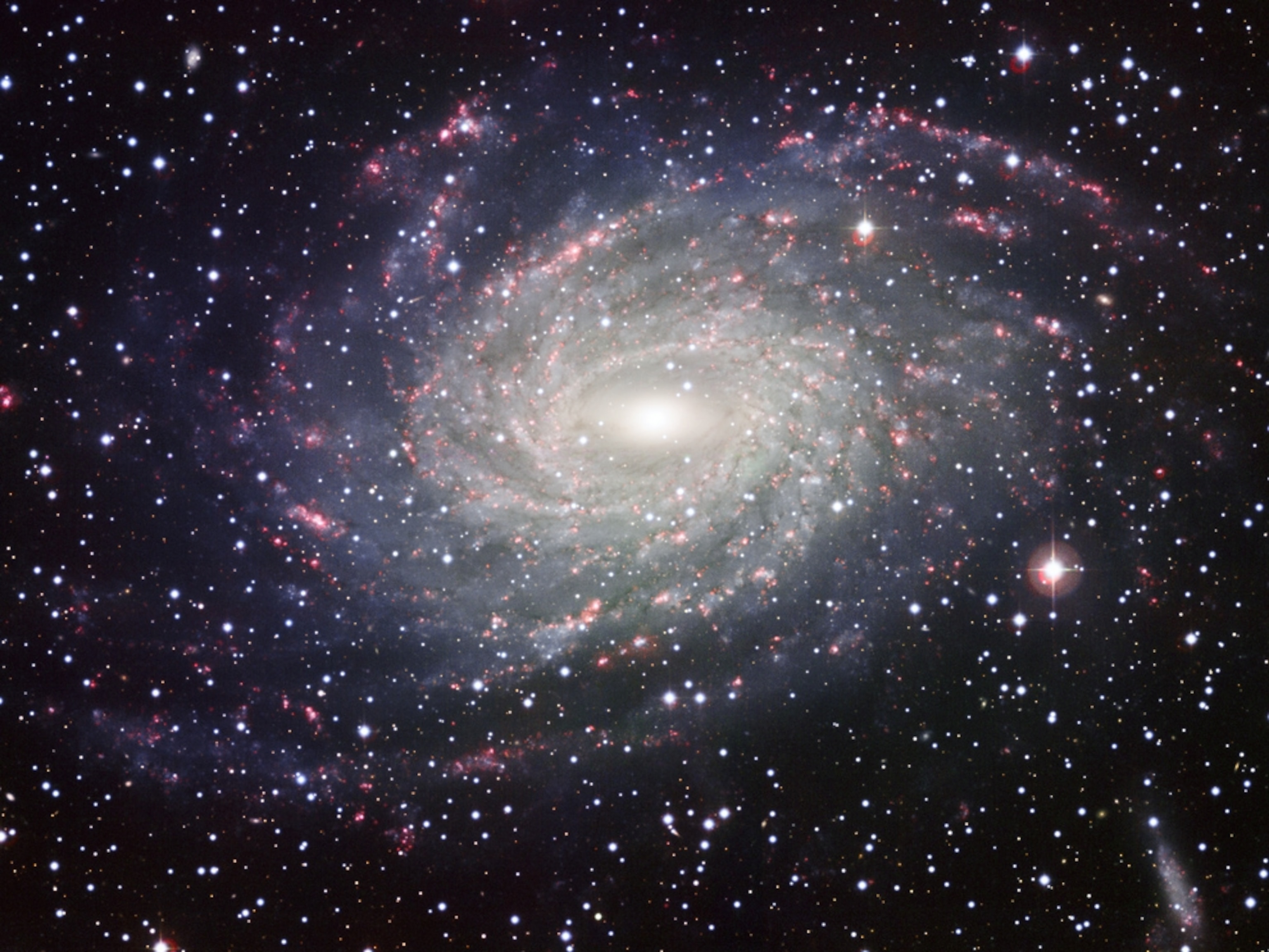 Space picture: a spiral galaxy much like the Milky Way