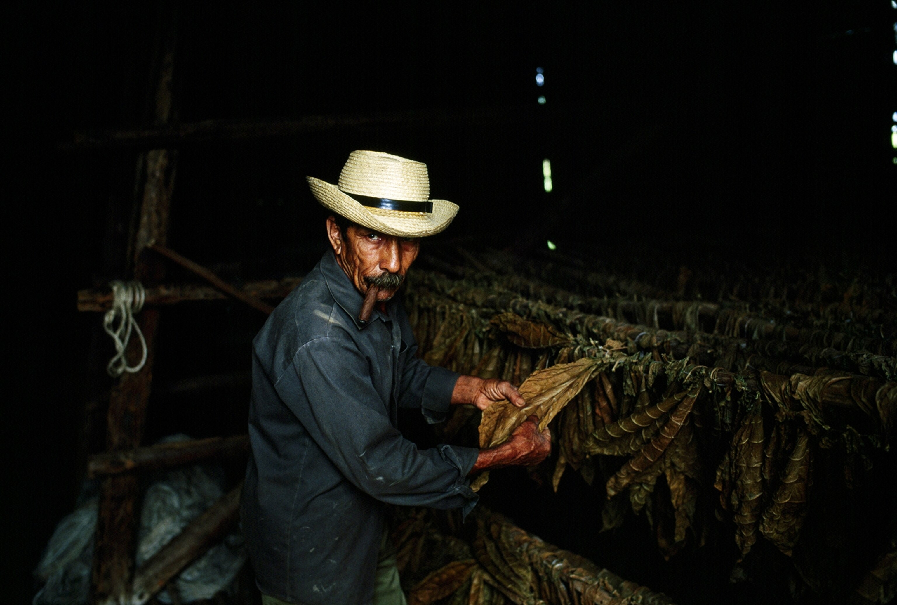 a tobacco farmer