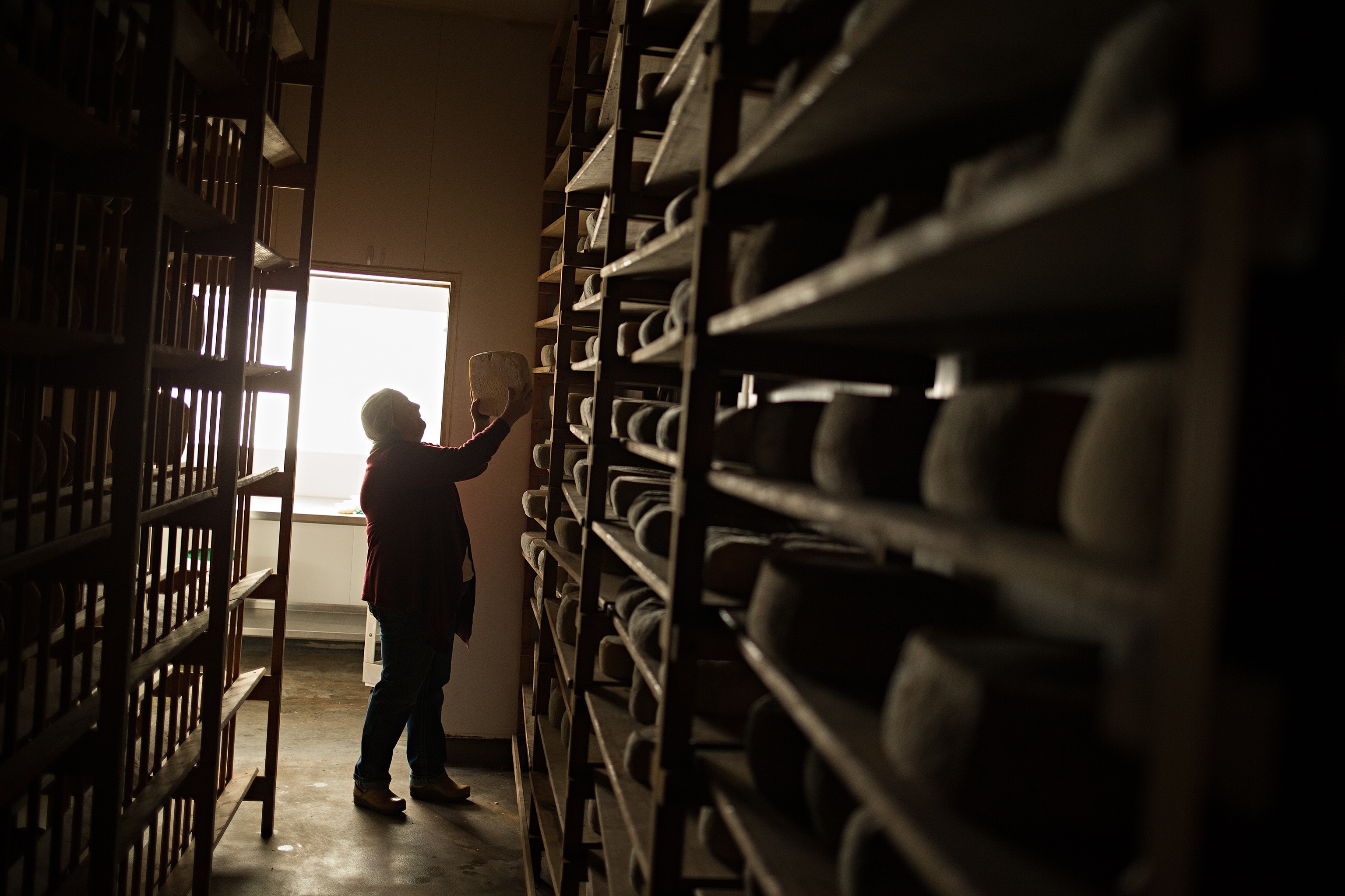 Donna Pacheco of Achadinha Cheese Company turning cheese in the aging room of the farm