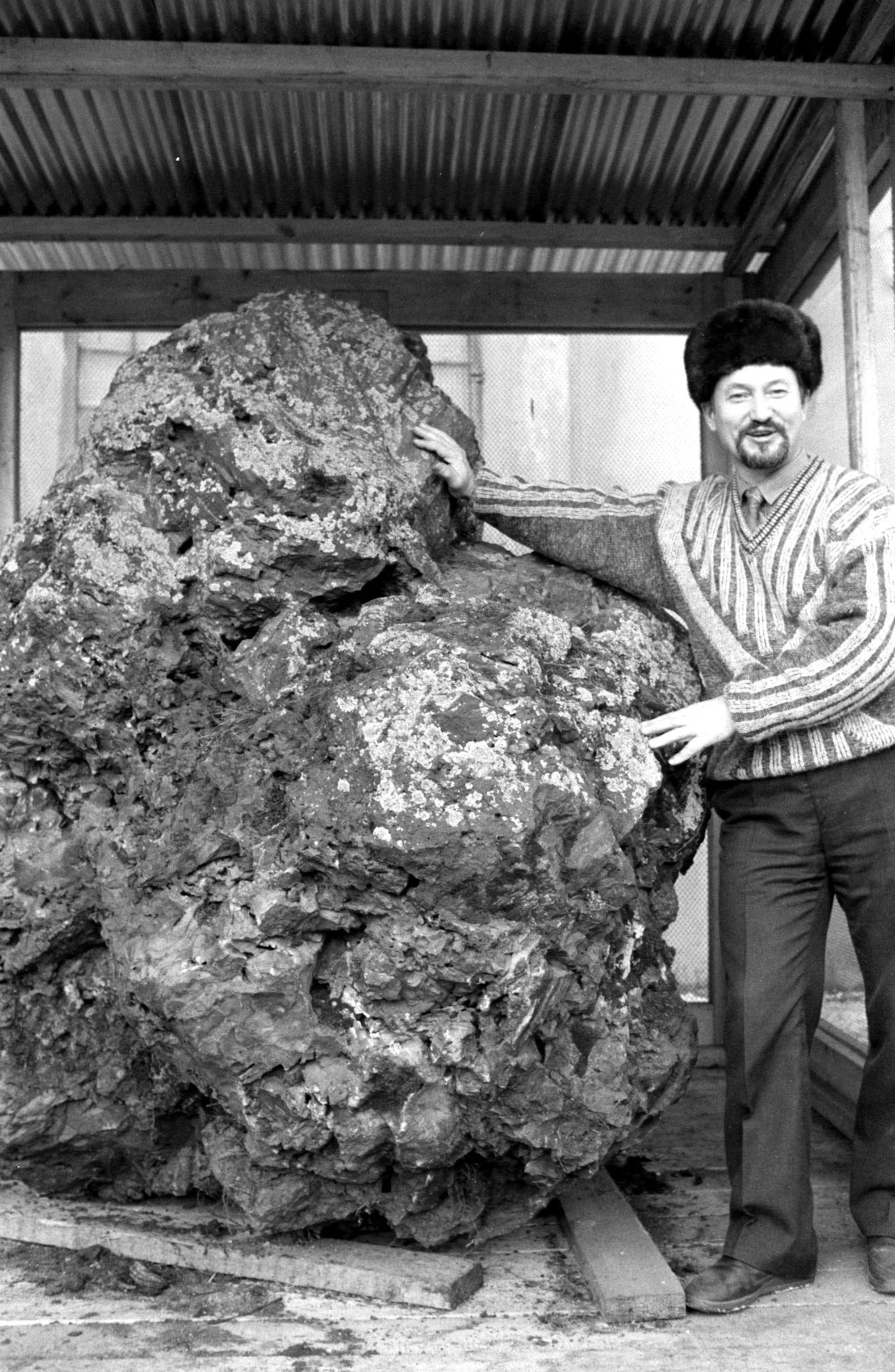 What Meteorites Mean For Science Culture And Kitsch Australian