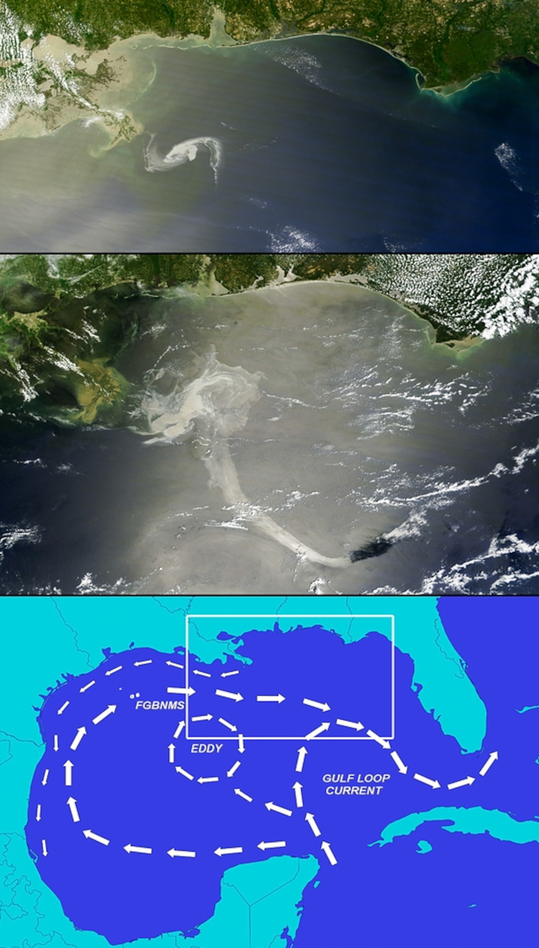 A three-part diagram shows the progress of oil towards the Gulf Loop Current. Top frame: the oil as seen by satellite on April 29. Middle frame: the oil as seen by satellite on May 17. Bottom frame: a diagram of the Gulf Loop Current. Box indicates approximate area of satellite images. Alignment/scaling of satellite images is approximate.