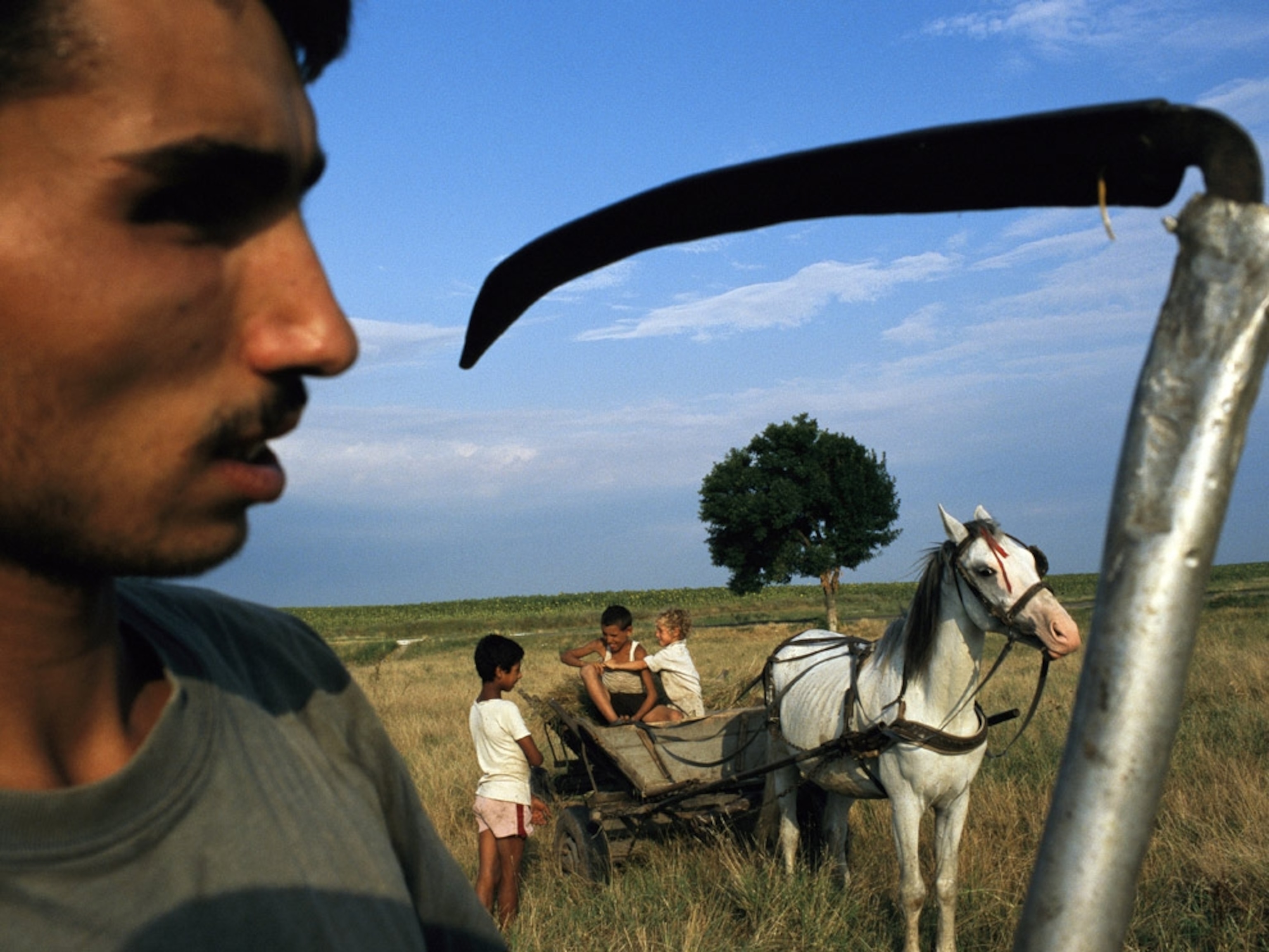 A man with a scythe near a horse and children