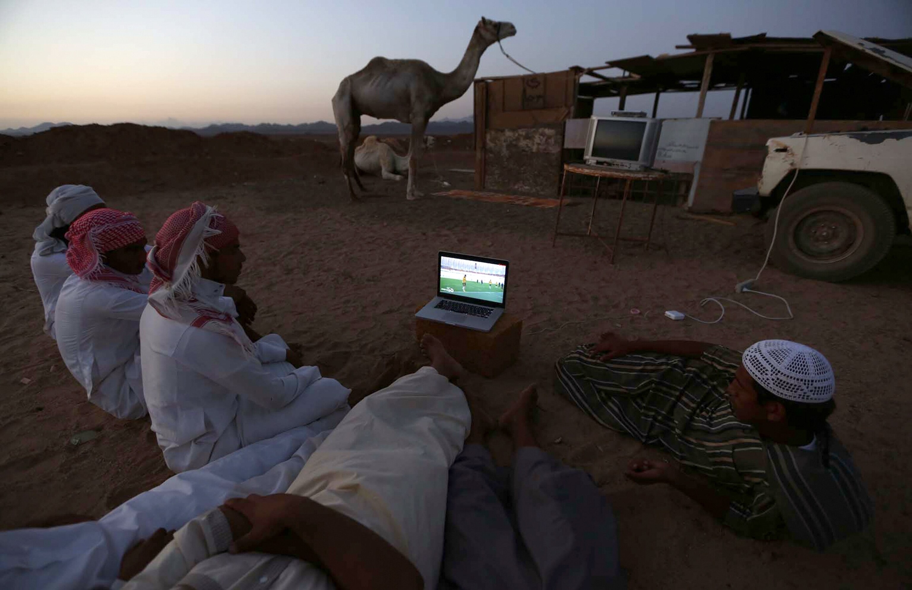 Men watch the 2014 World Cup Group B soccer match between the Netherlands and Australia on a laptop, at a camel market in Saudi Arabia.