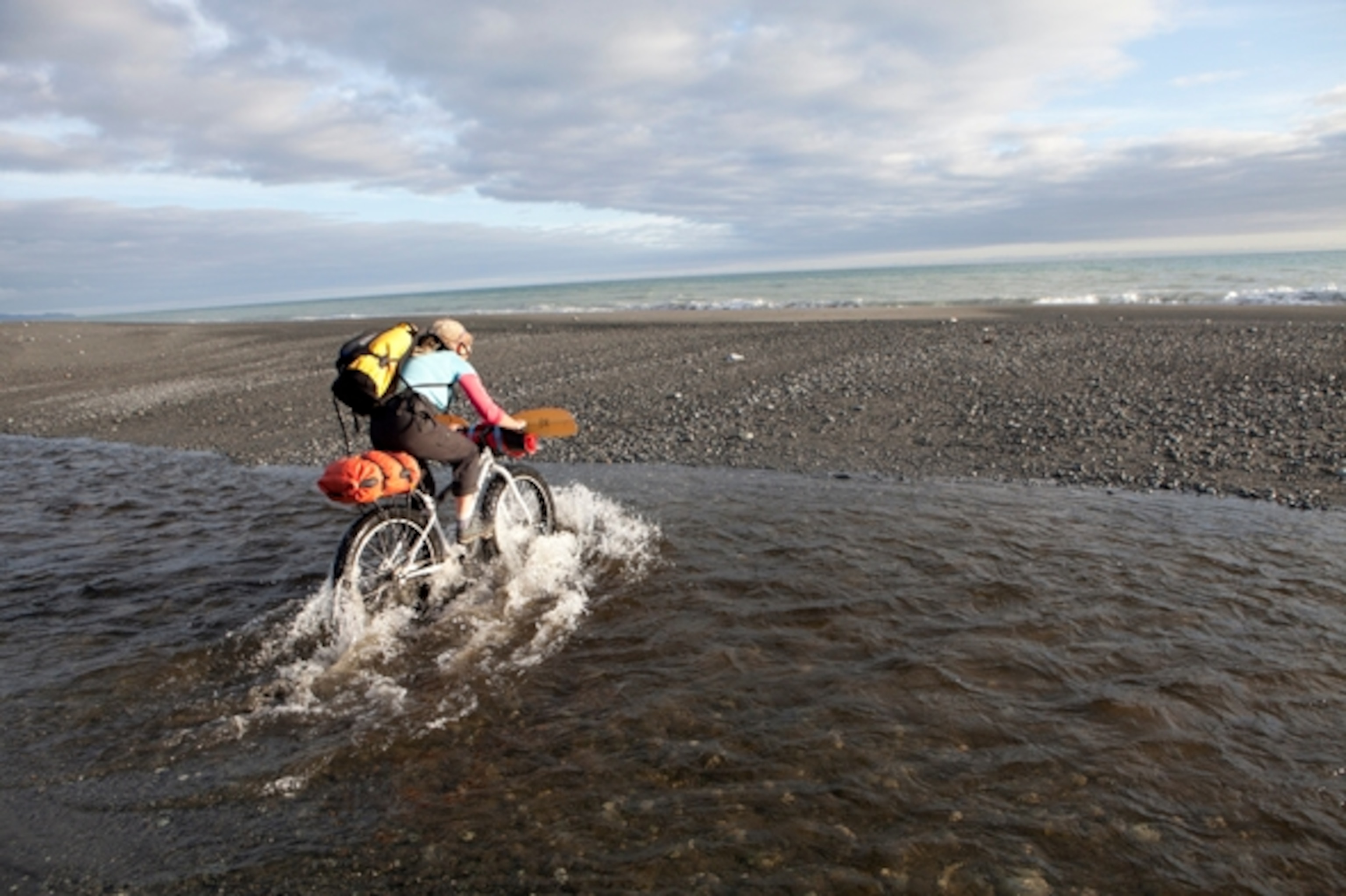 The rivers were starting to run with salmon, which attracted lots of bears; Photograph by Cameron Lawson