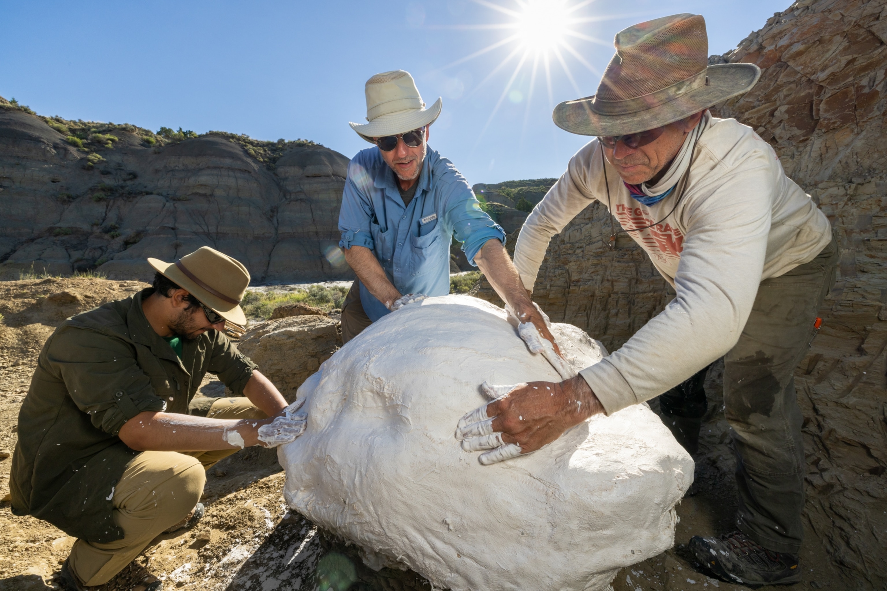 Three field researchers in hats carefully wrap a large fossil specimen with white sheets of plaster dipped burlap