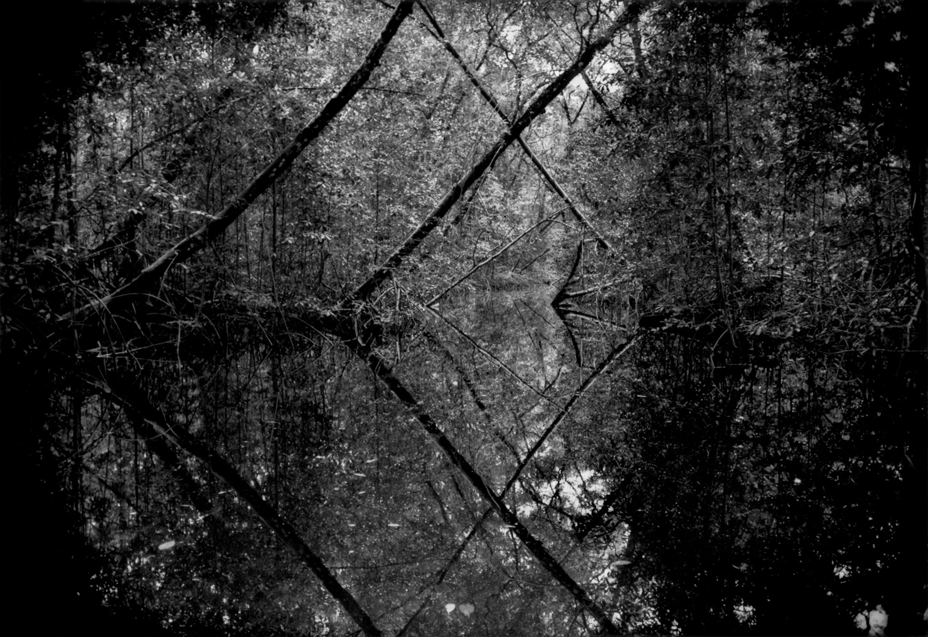 a canal in Suriname that is surrounded by healthy forest