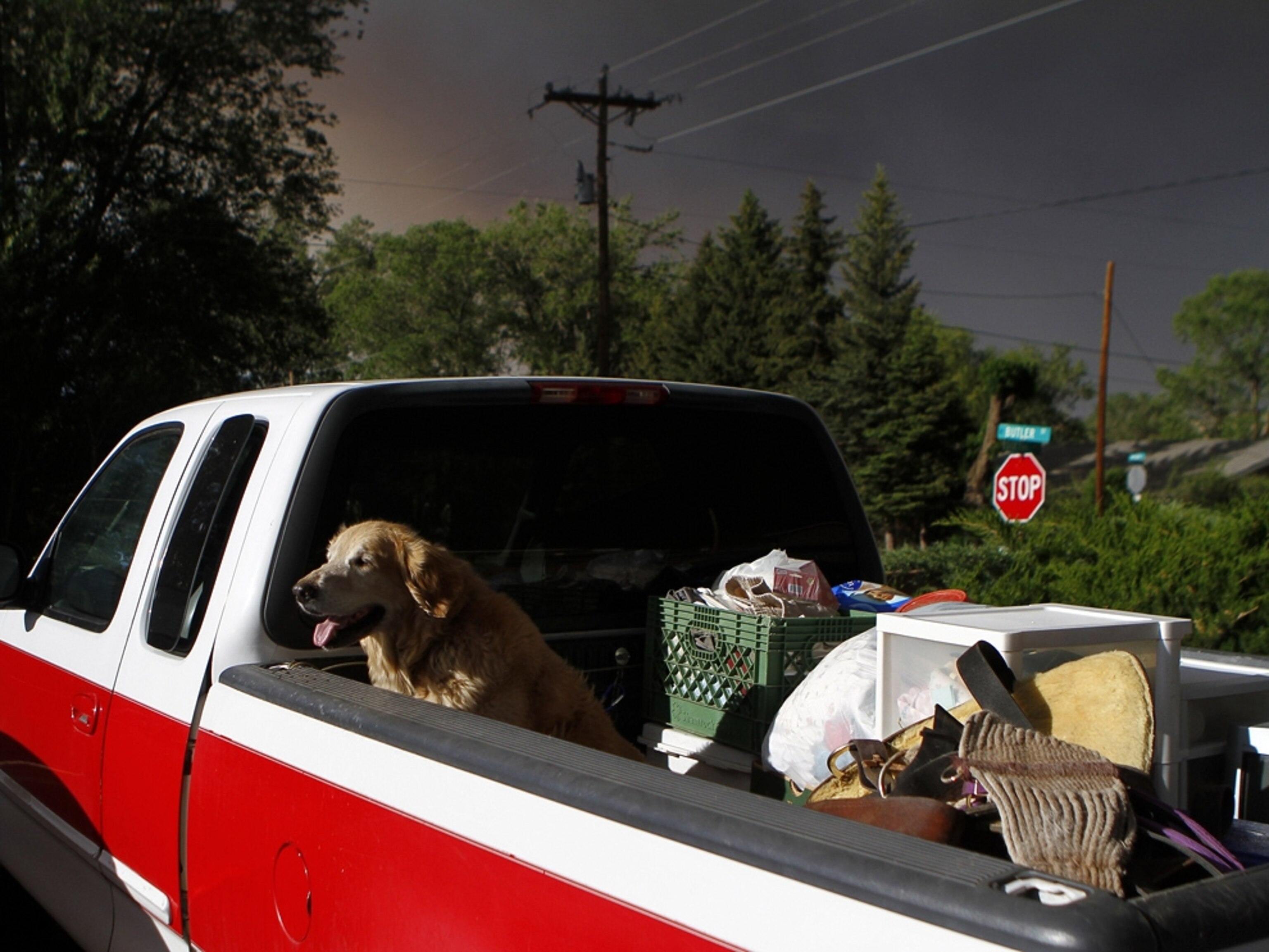 an Arizona-wildfire evacuee's dog and belongings