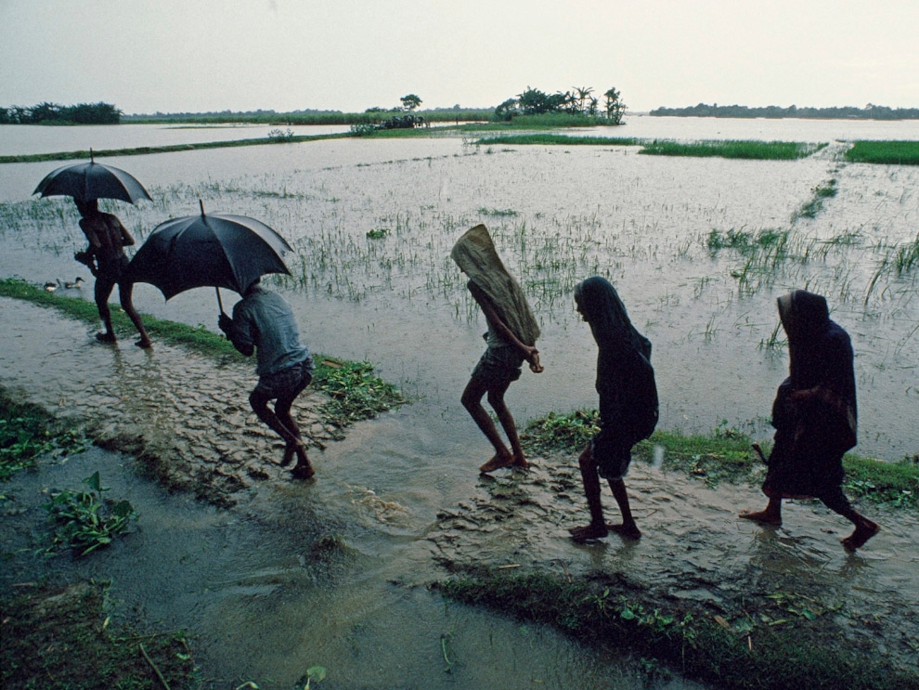 Bangladesh Photos National Geographic