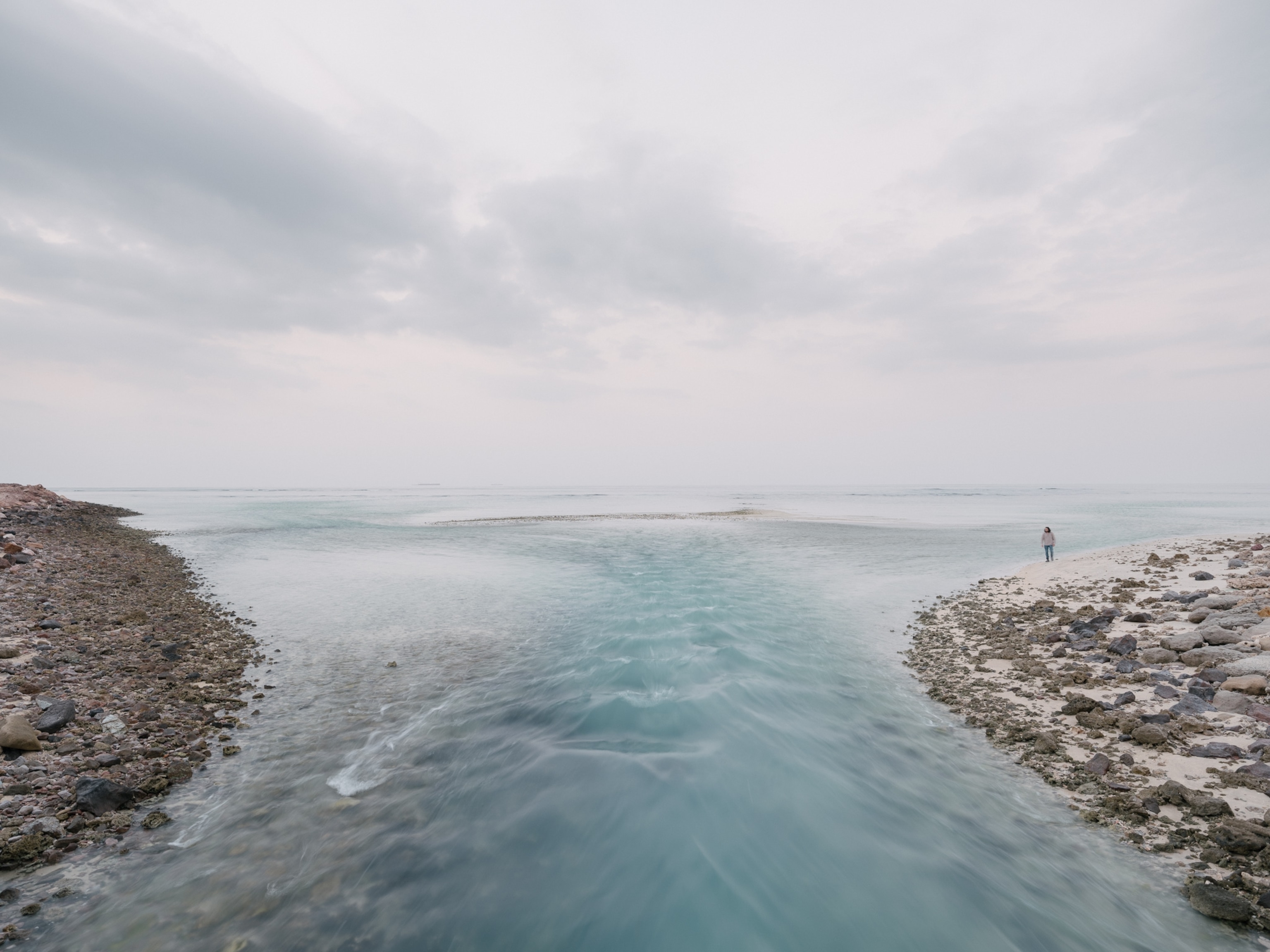 the Arabian sea at the Sir Bani Yas Island in in Abu Dhabi, United Arab Emirates