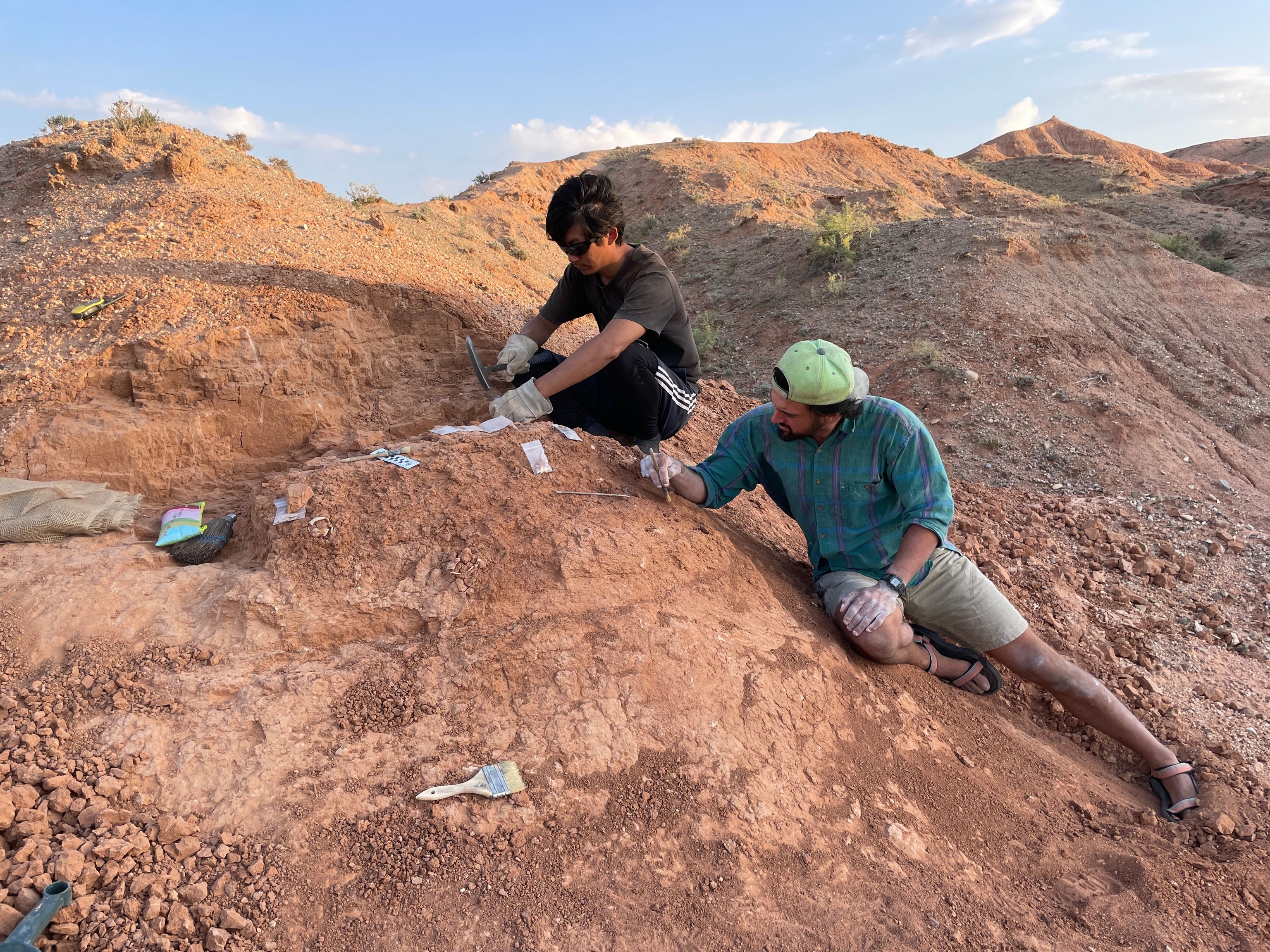 Expedition team members excavate one of several newly discovered dinosaur egg nests at Teel Ulaan Chaltsai, Eastern Gobi Basin.