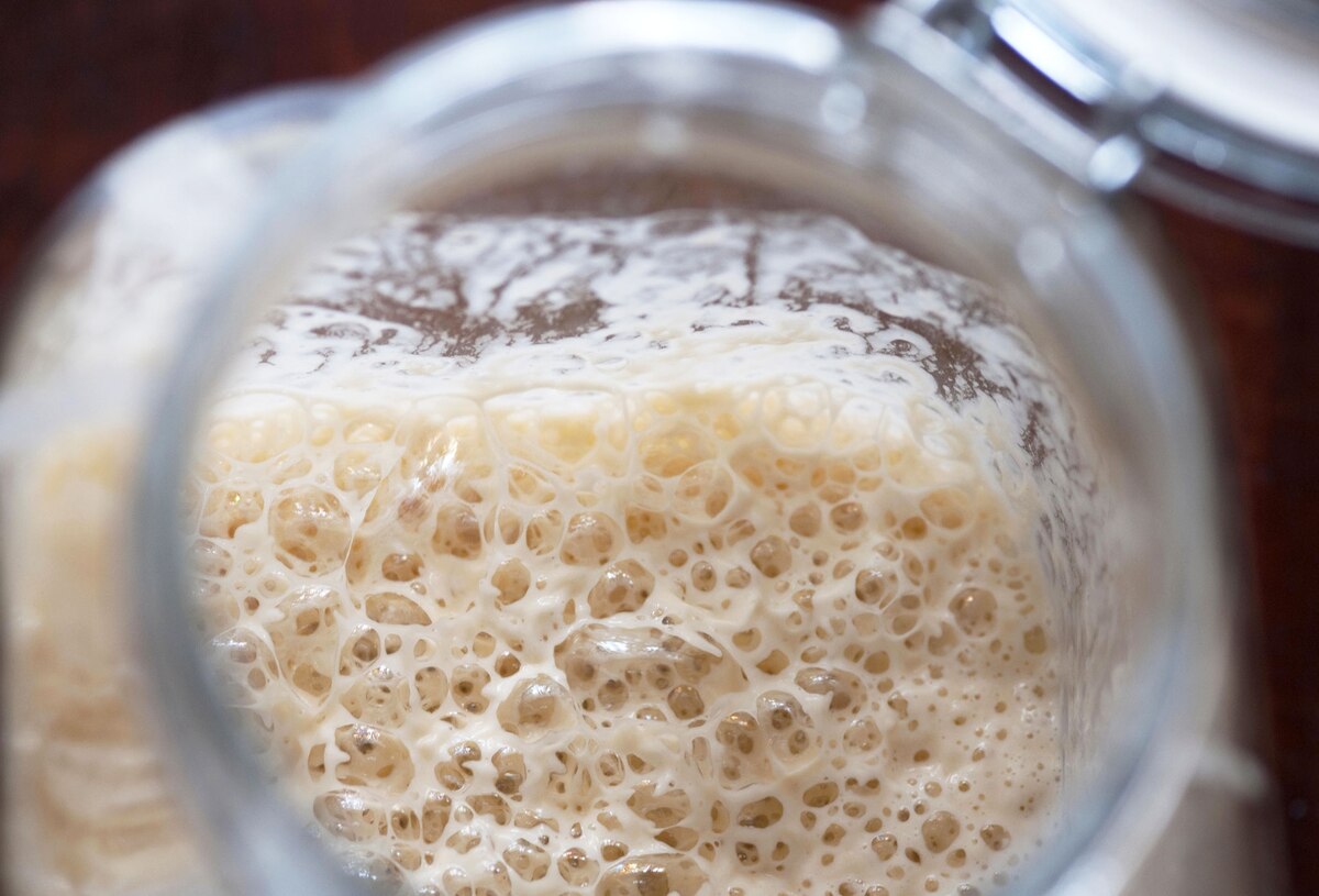 The funky science of yeast, the gassy microbe behind your pandemic bread
