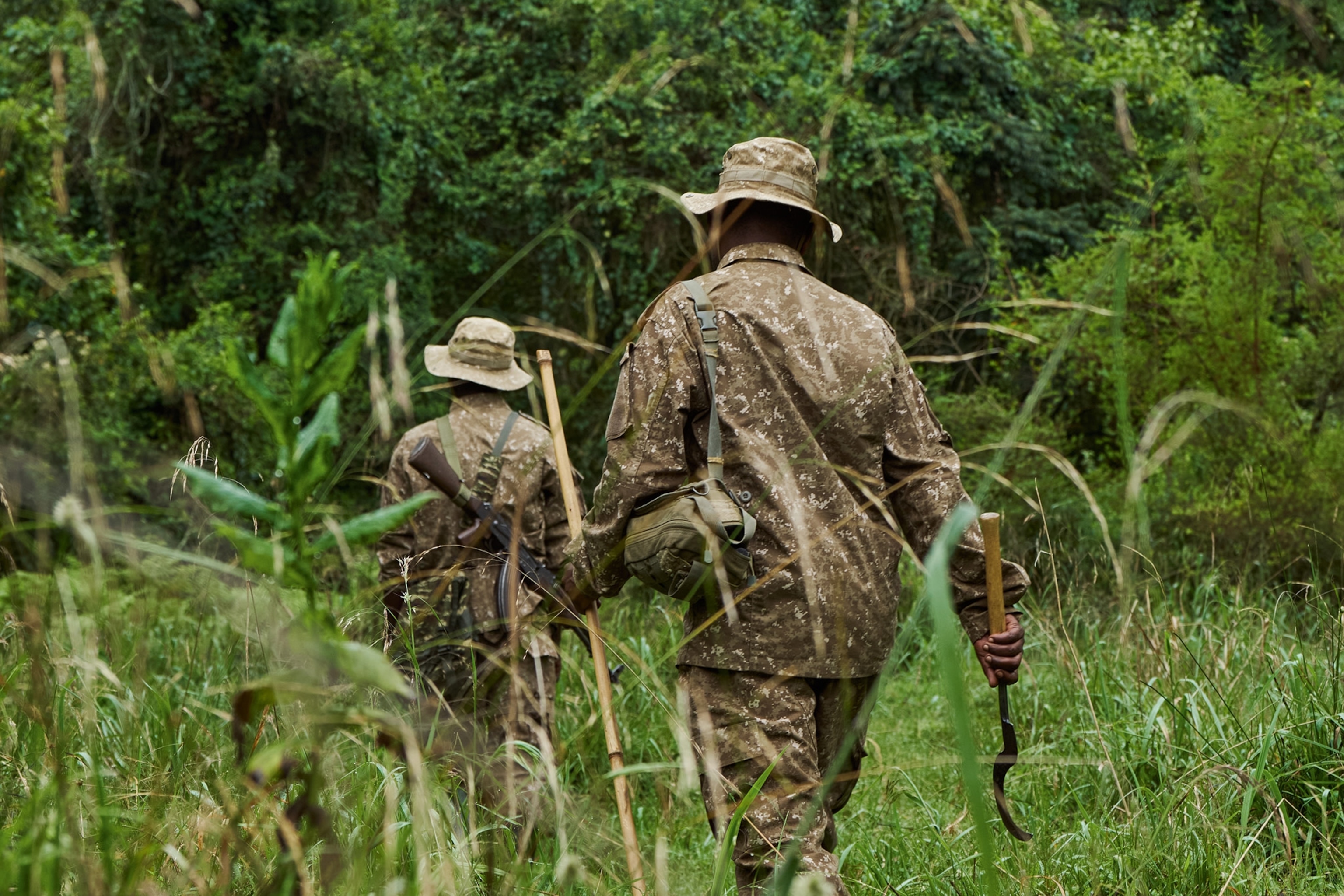 Guides tracking gorillas.