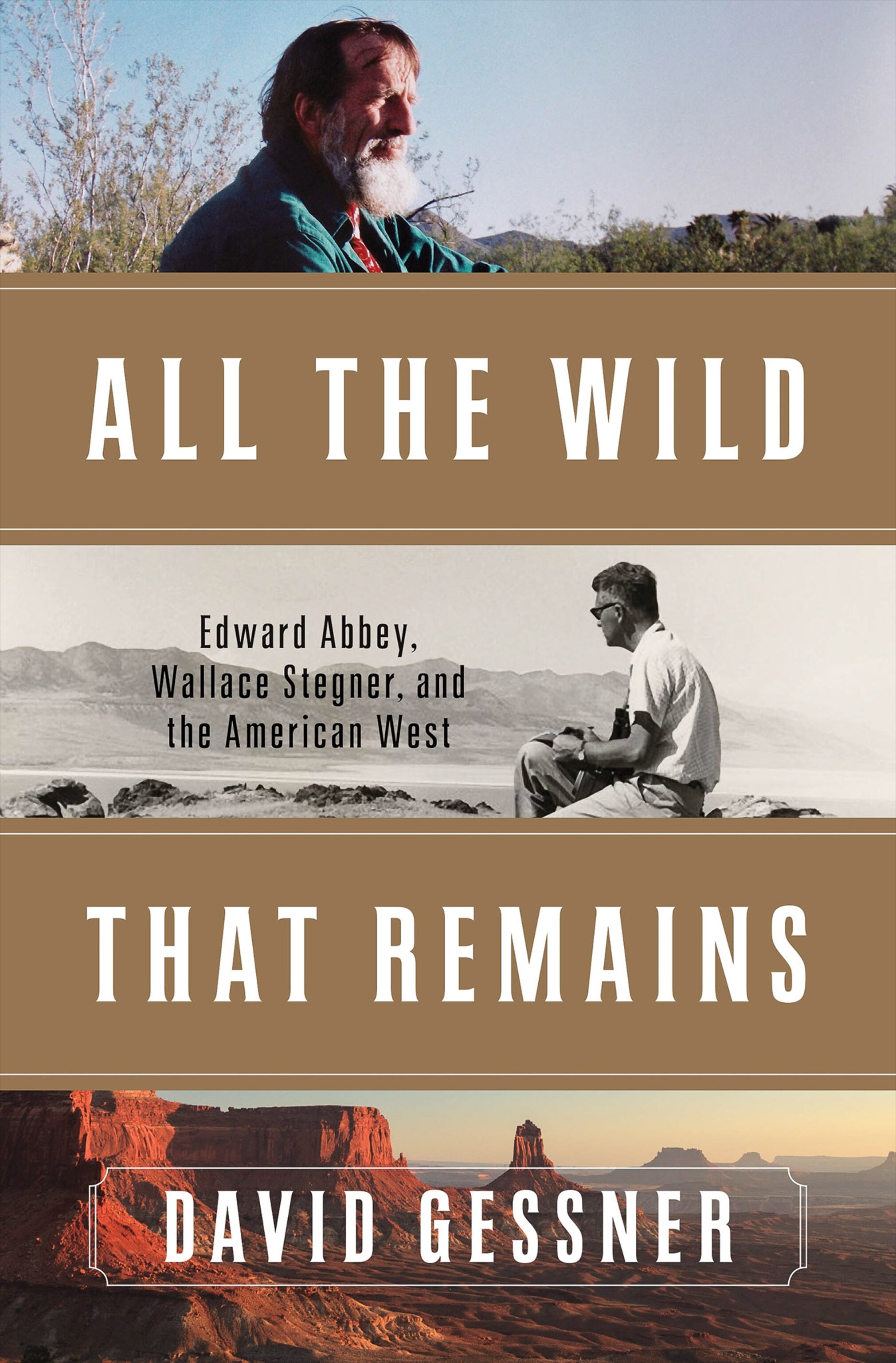 the cover of All the Wild That Remains by David Gessner
