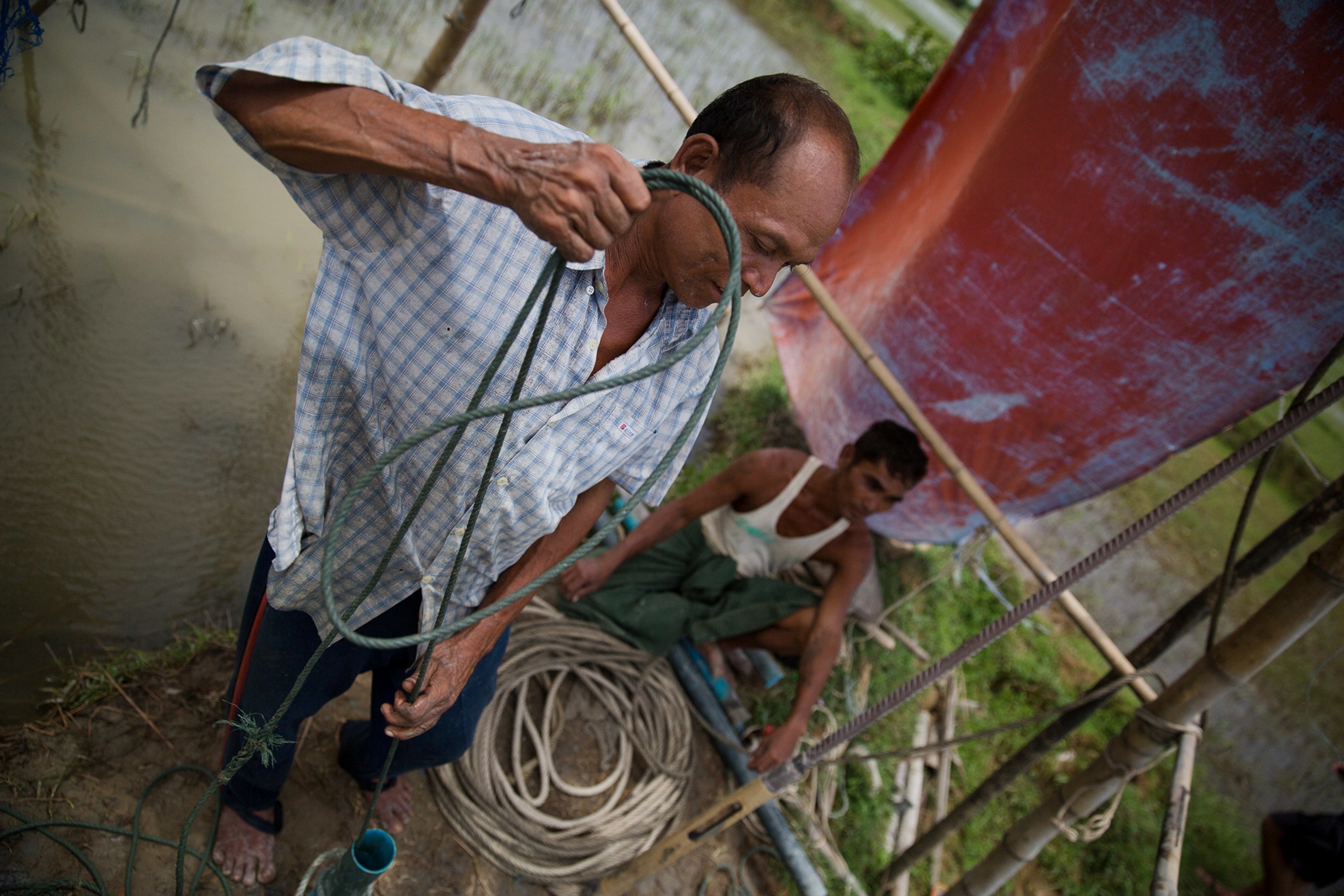a boatman steering through a mangrove swamp near the start of a 1,500 mile oil pipeline from the Bay of Bengal to China's Yunan province.