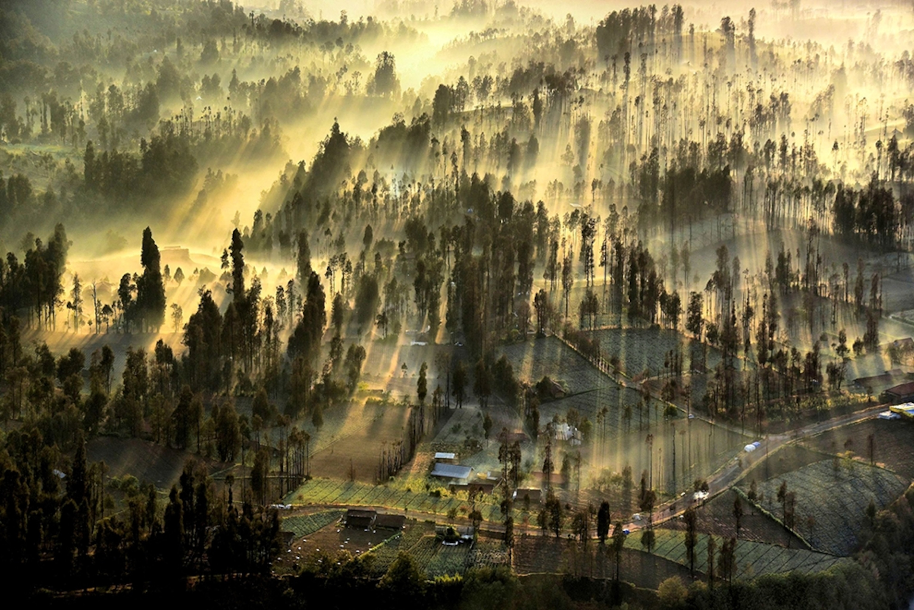 sunrise near Mount Bromo in Indonesia