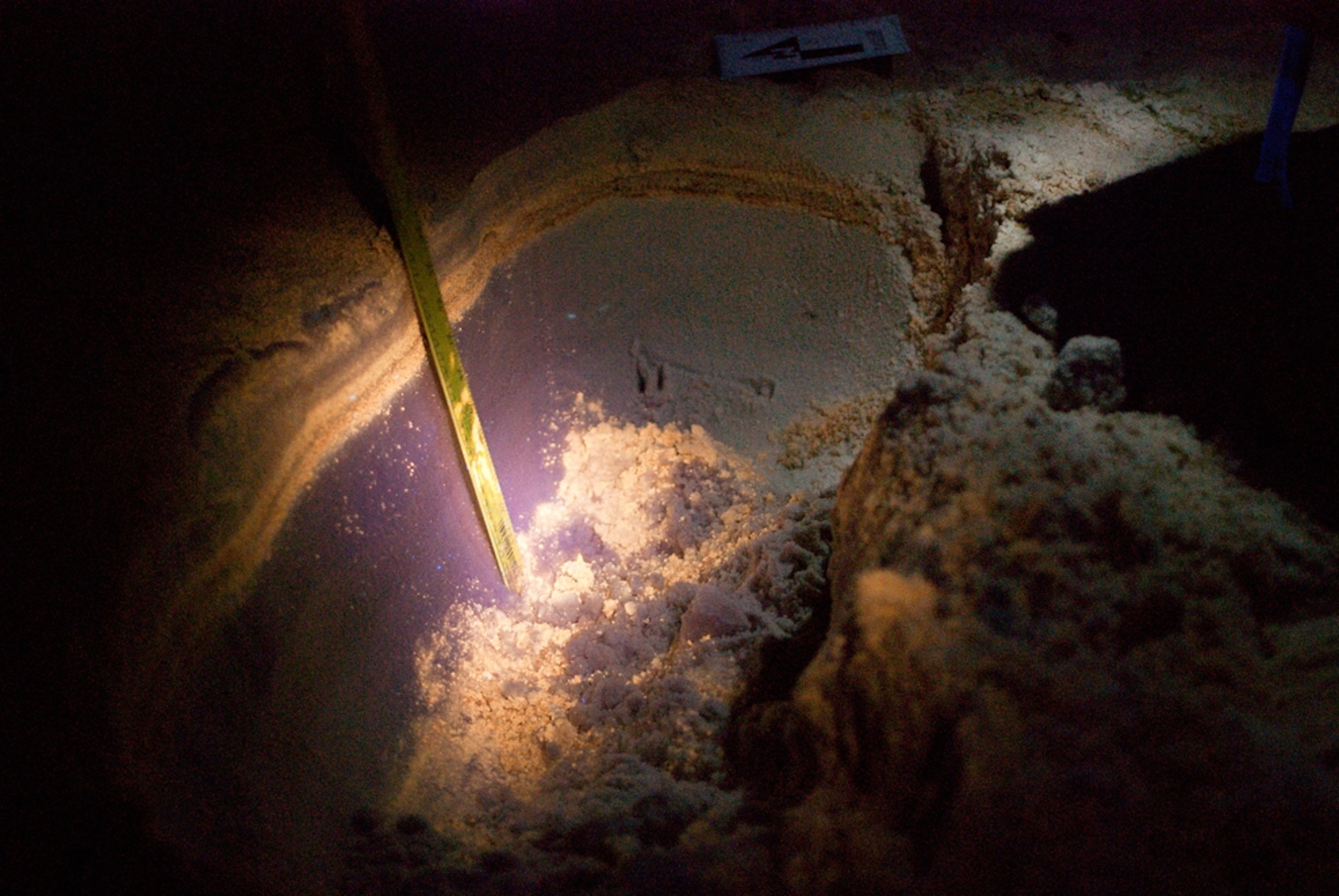 Picture of a trench dug into a beach, which shows signs of oil from the Gulf spill