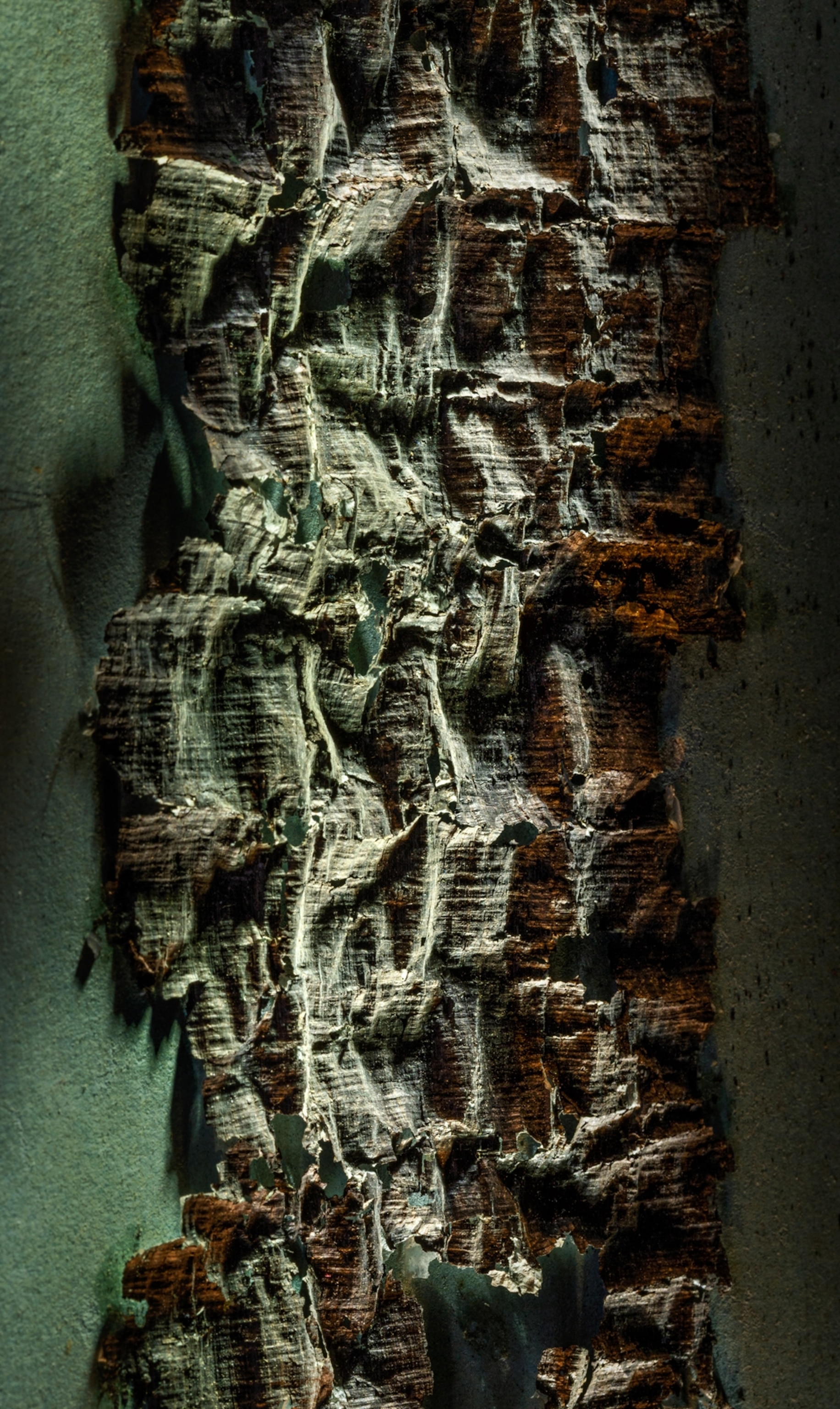 A frame of an old piece of paper