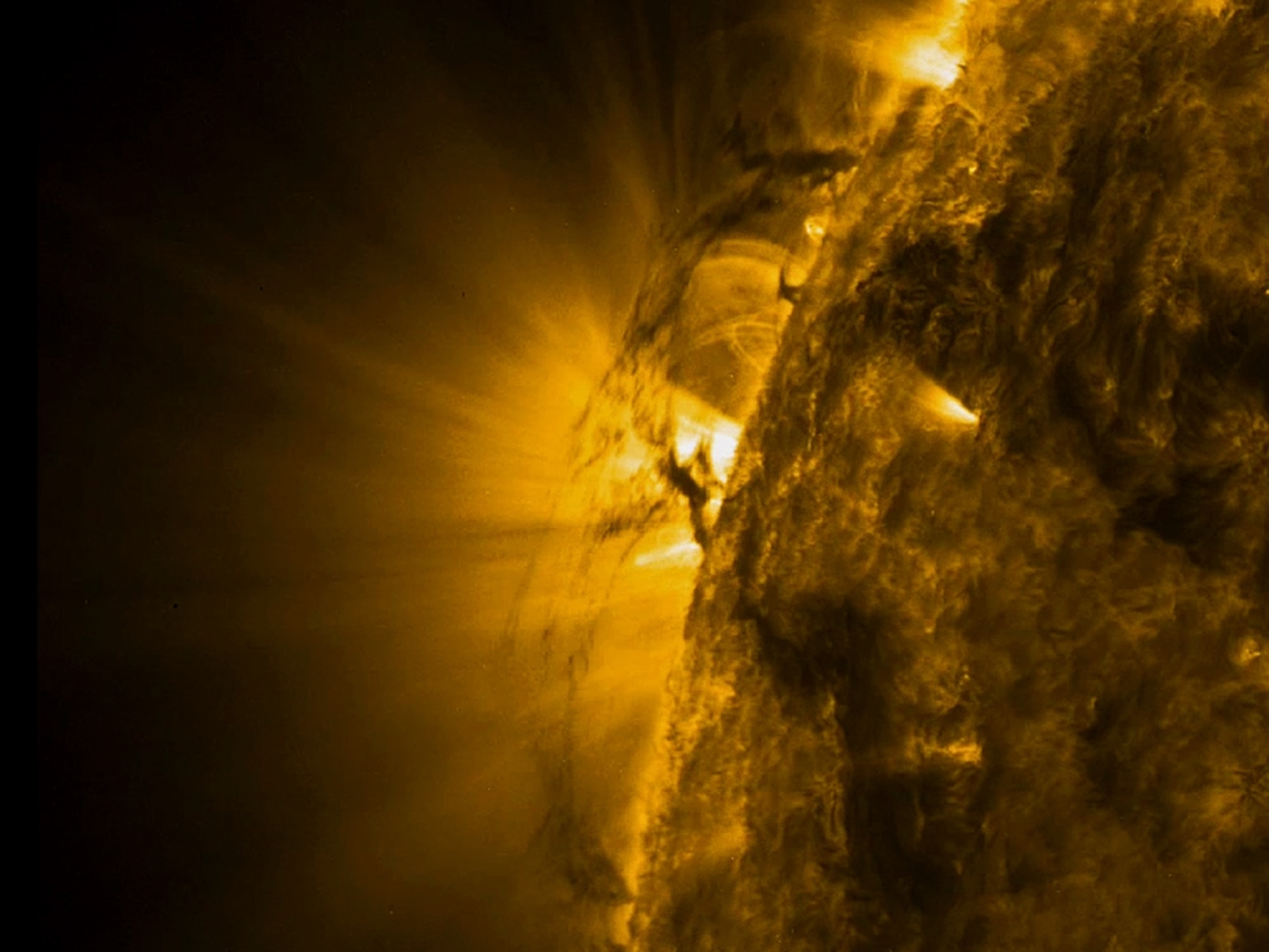 Sun picture: cool plasma filaments moving due to magnetic forces