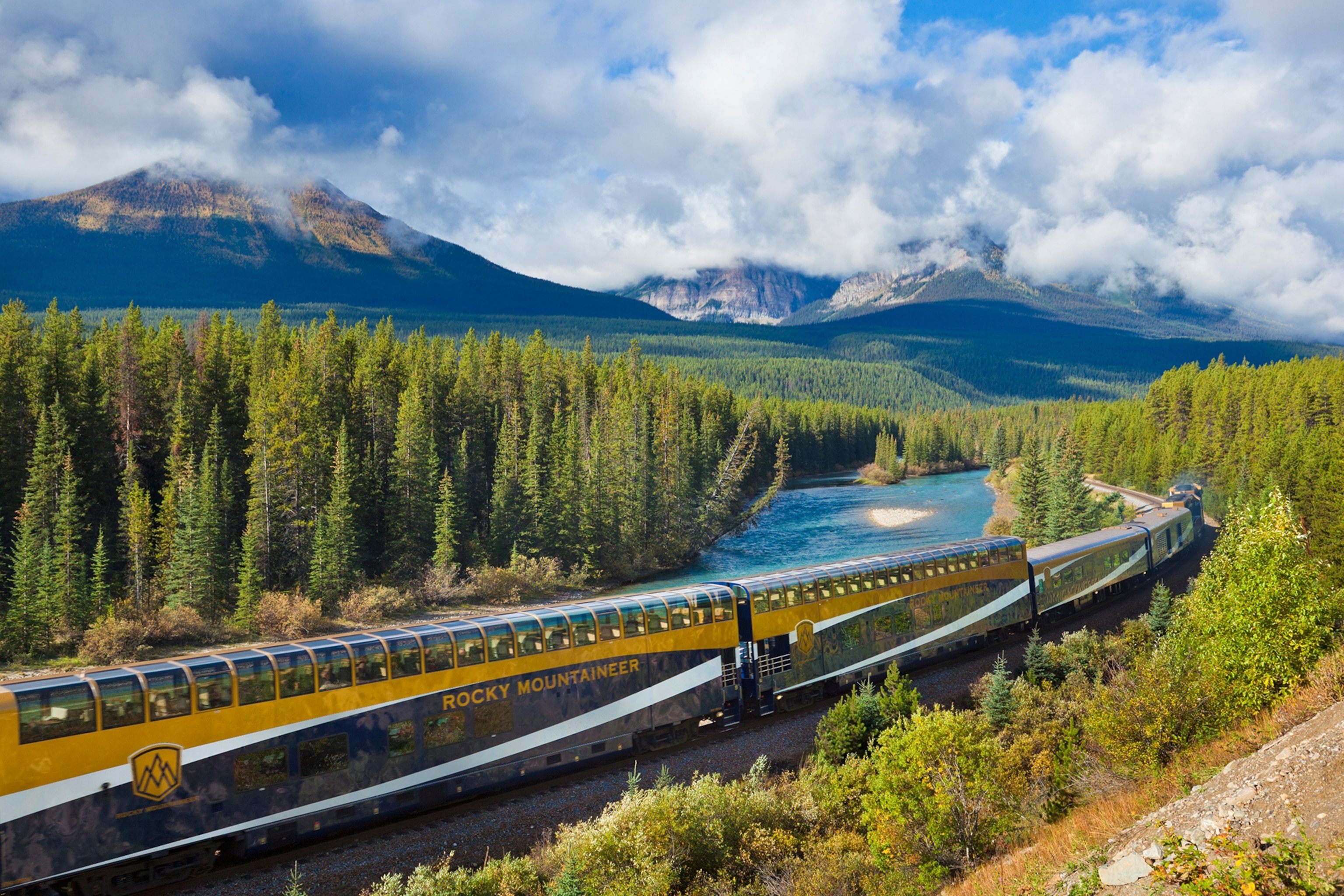 train on tracks passing through a forested landscape