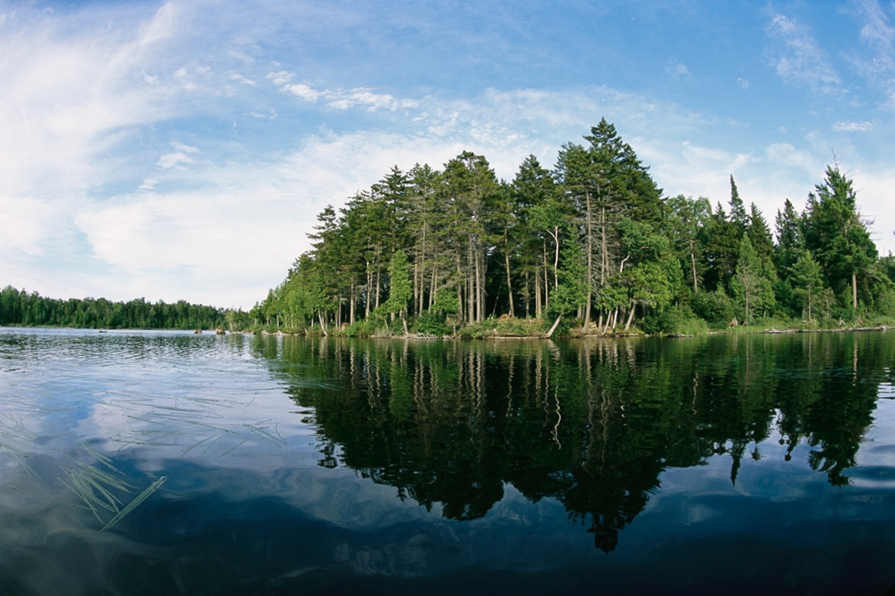 Picture of woods in Maine in an area that may be one of America's next national parks.