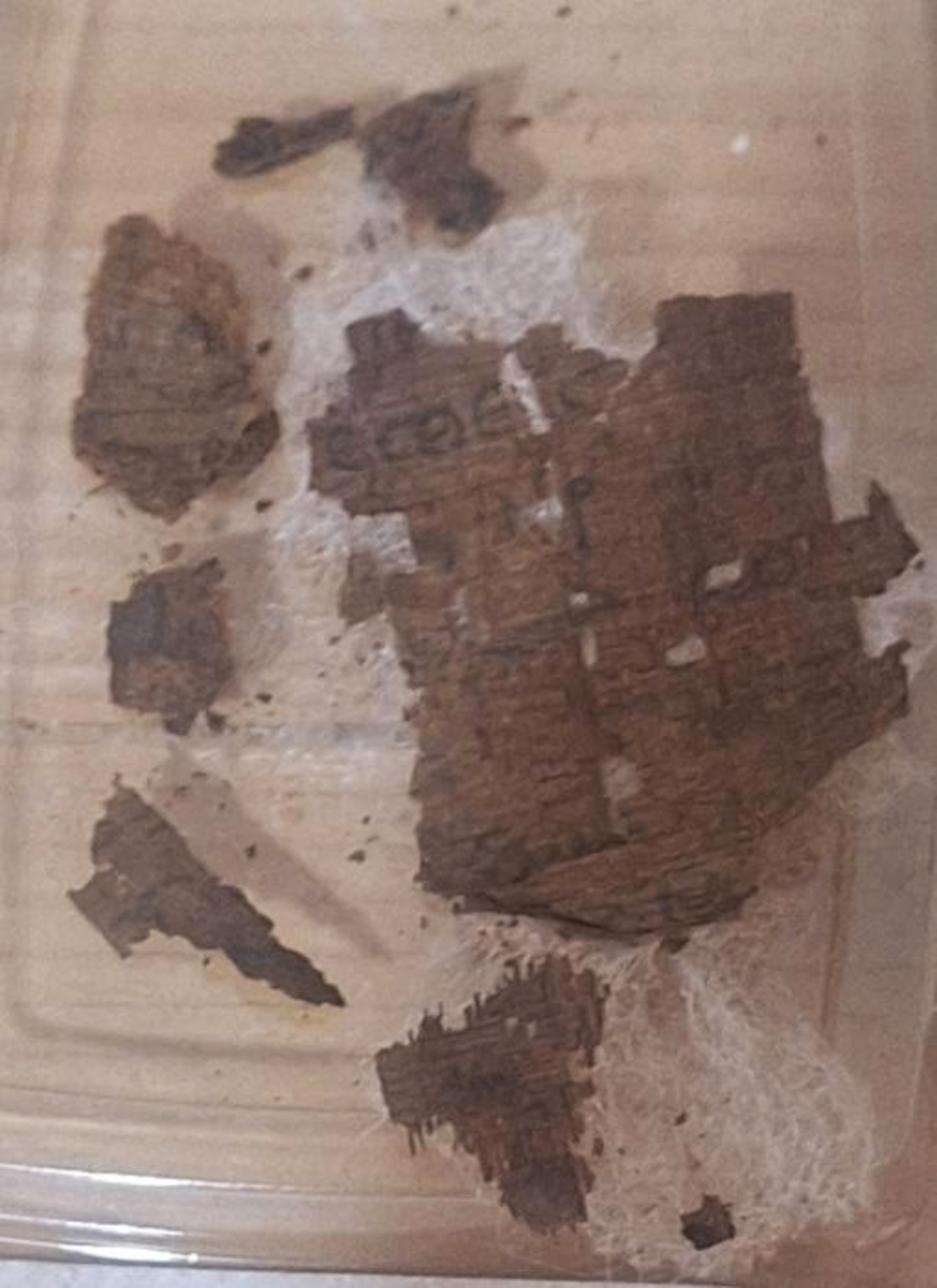 The papyrus, placed in the mummy’s abdomen, contains a catalogue of ships.