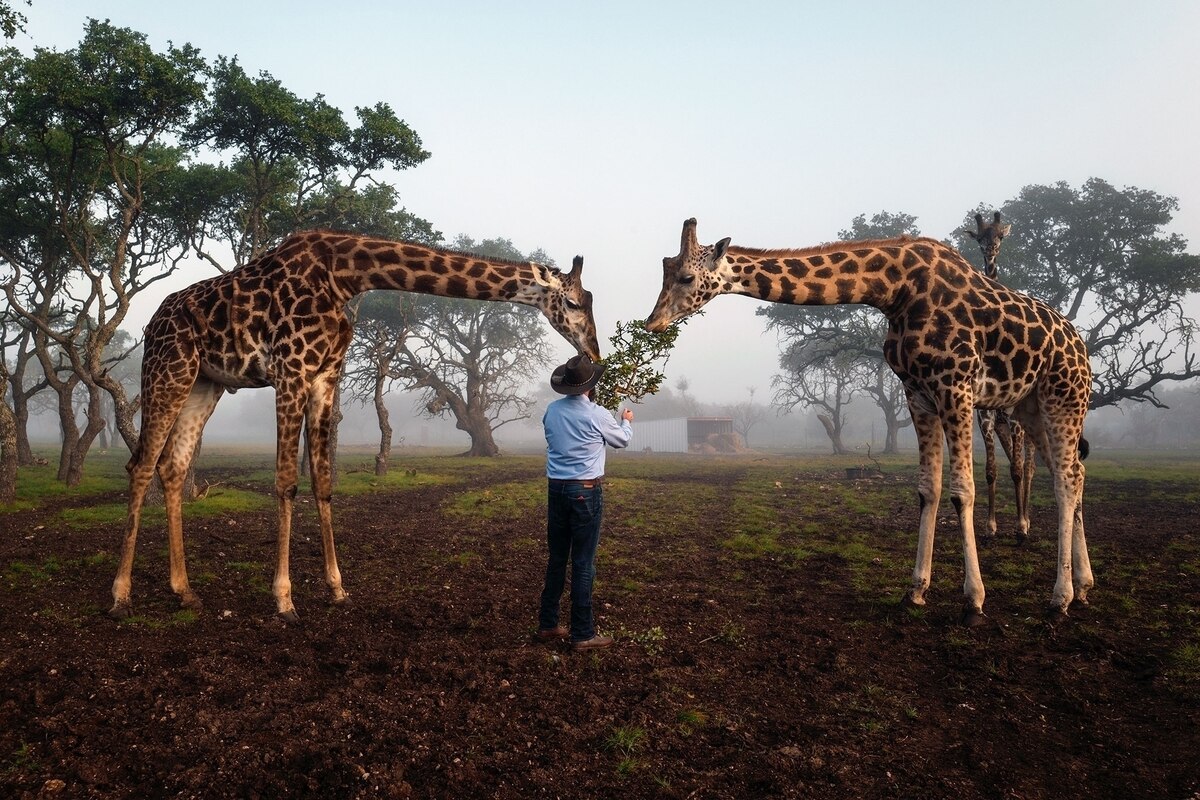 A behindthescenes look at Texas’ exotic game ranching industry